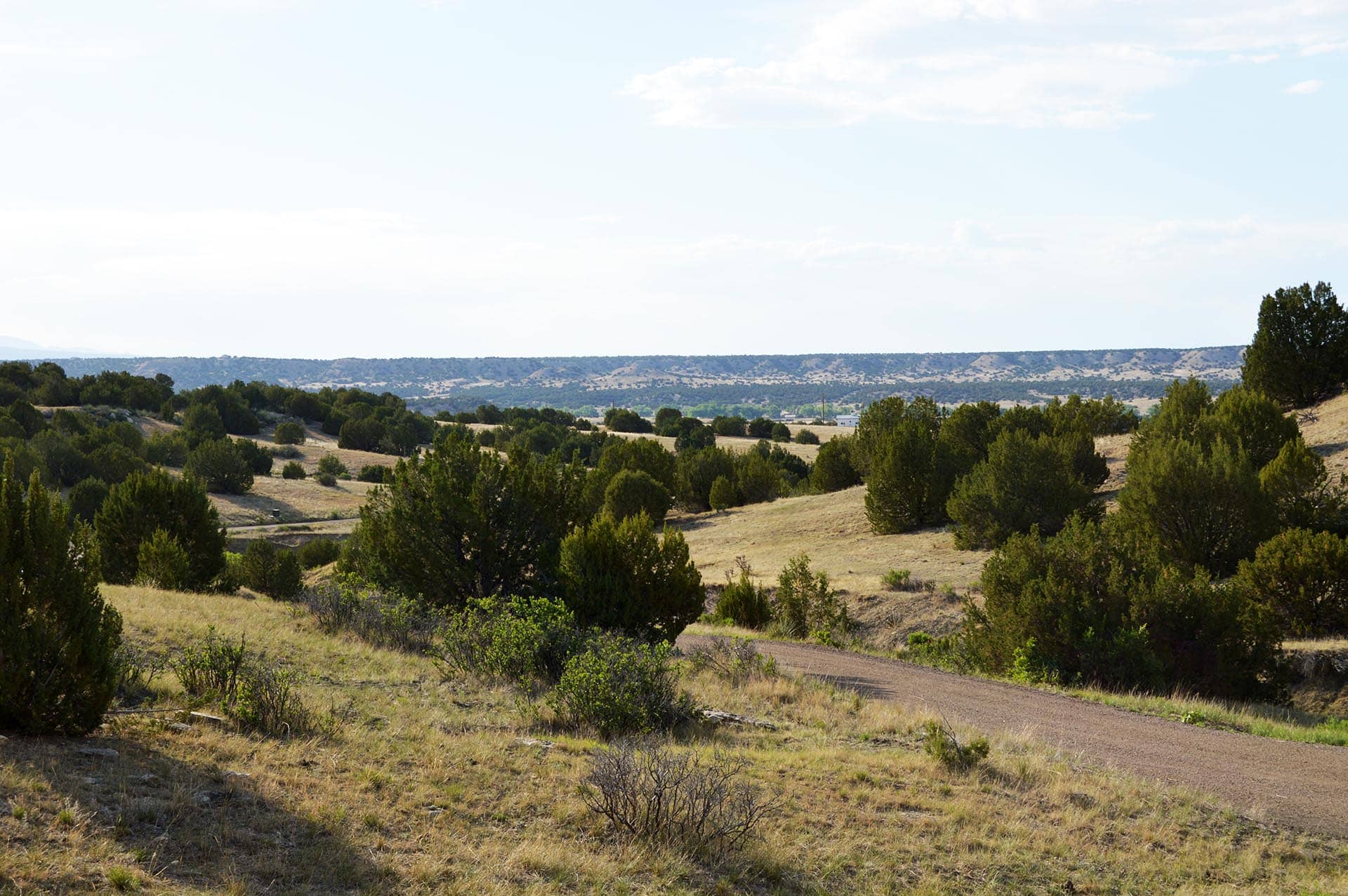 Wide landscape of scrubby hills with scattered trees and a dirt road in the foreground under a clear blue sky.