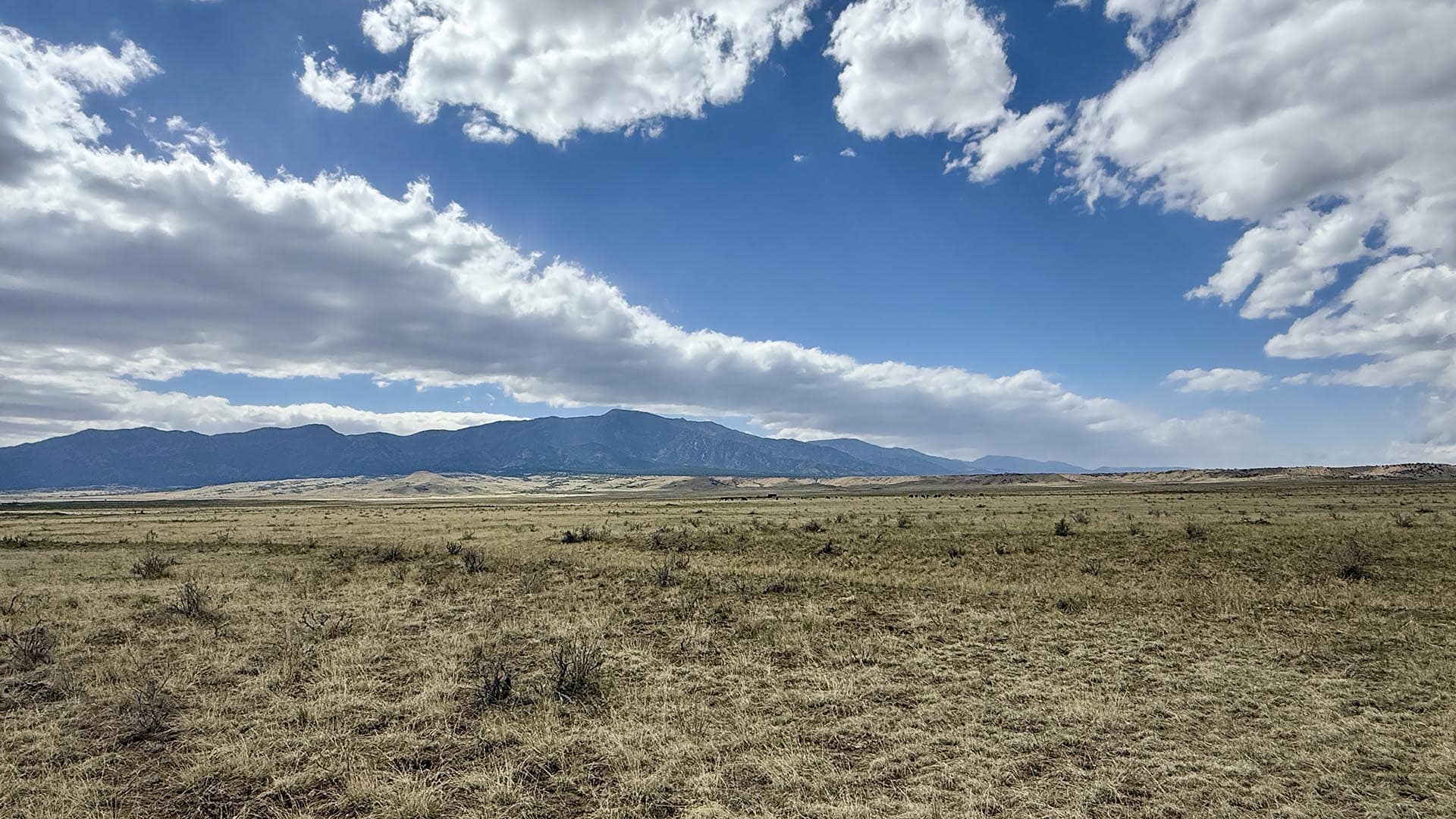 Wide open prairie with dry grass, low shrubs, and a distant mountain range under a partly cloudy blue sky.