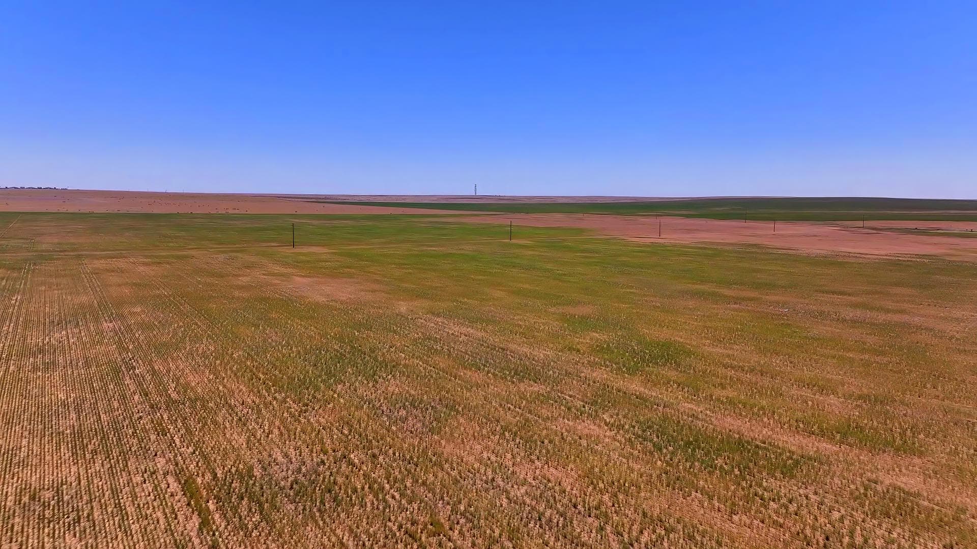Wide, flat farmland under a clear blue sky, with patchy green and brown fields and distant fence posts on the horizon.