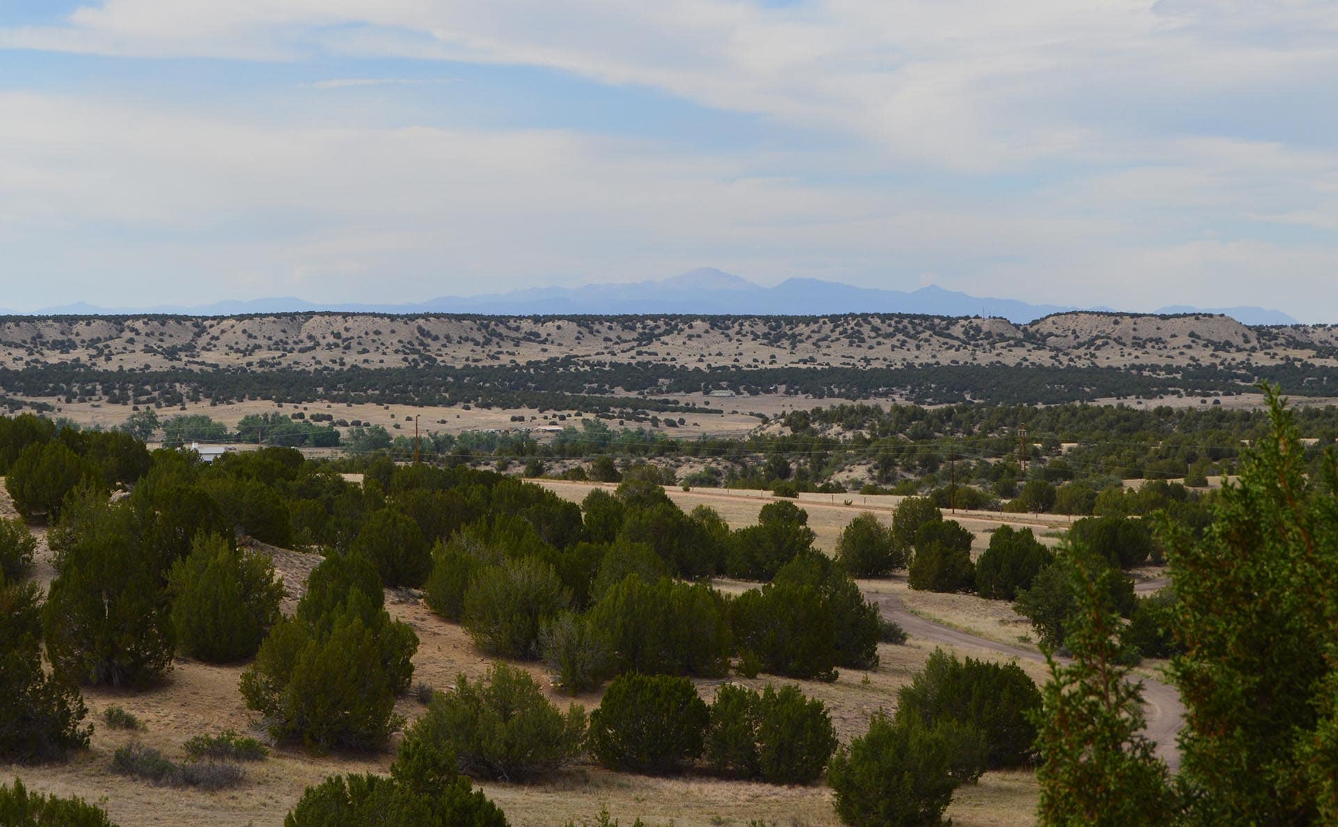 Arid landscape with scattered bushes and trees, rolling brown hills, and distant blue mountains under a cloudy sky.