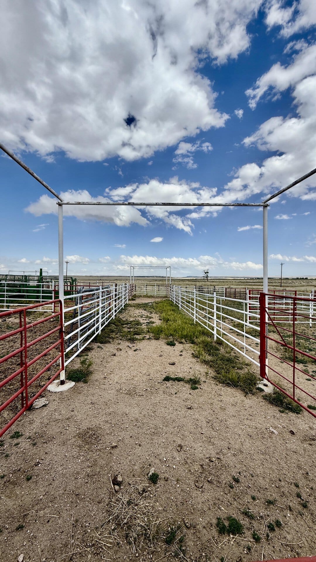 Metal cattle pens form a long corridor in a dusty ranch yard under a blue sky with scattered clouds, leading toward the horizon.