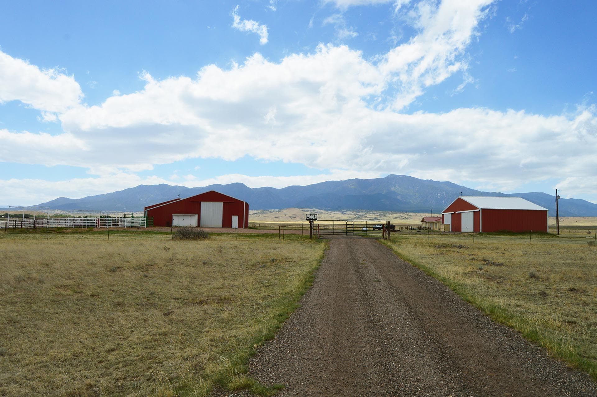Gravel rural road leading to red barns on a ranch with distant mountains under a blue sky with white clouds. peaceable farmland scene.