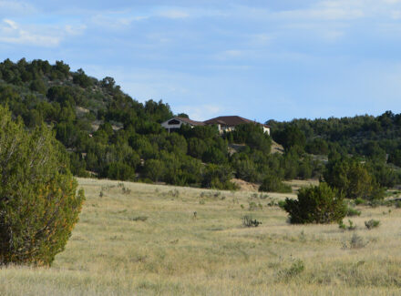 Rural landscape with rolling hills, scattered trees, and a house perched on a hillside.