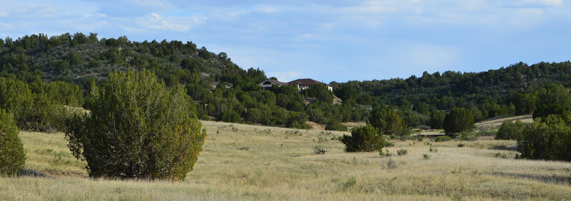 Hilly rural landscape with a house among trees, open grassy field in foreground and blue sky above.