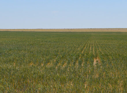 colorado ranch for sale chaparral ranch