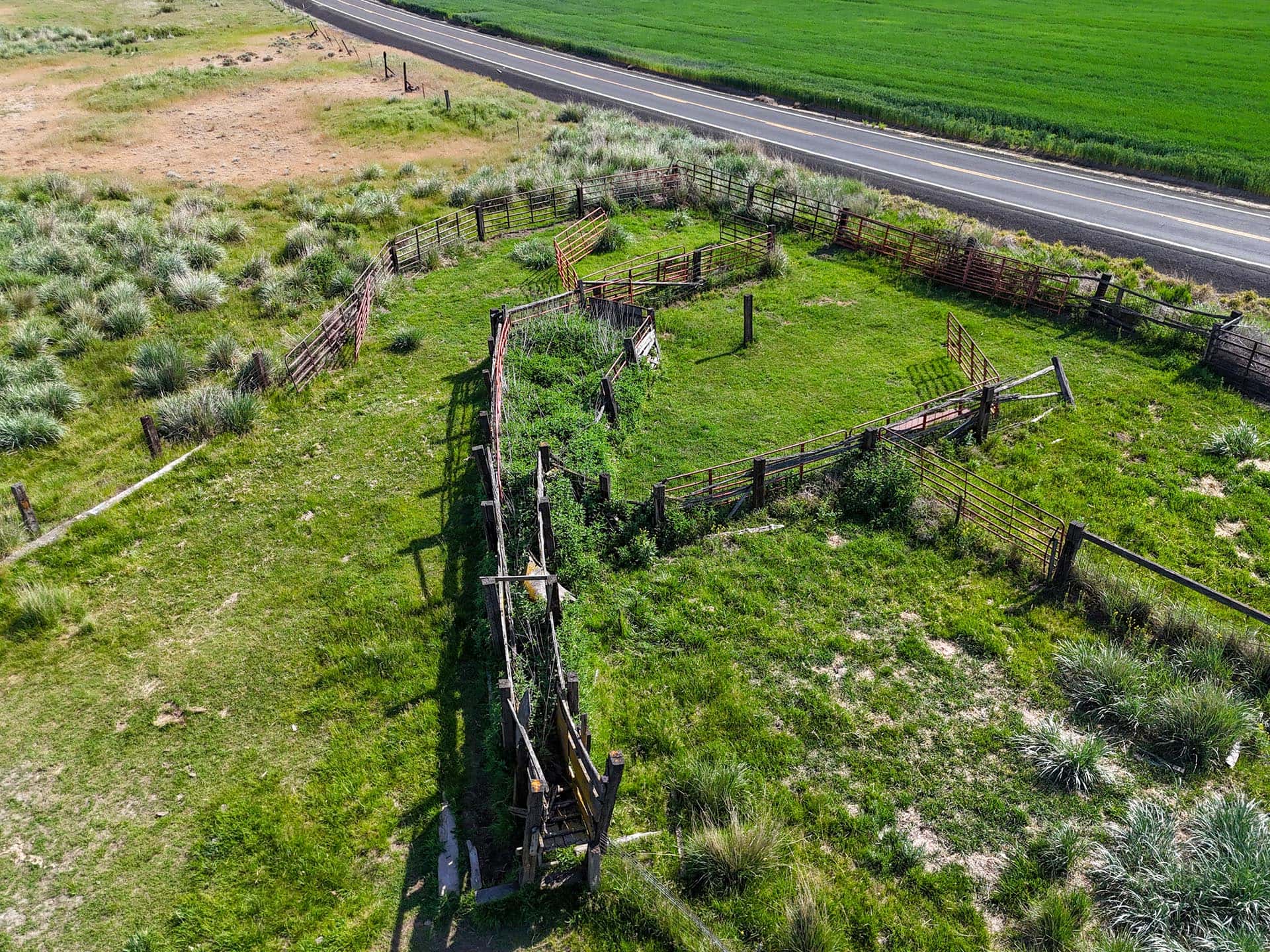 corrals washington kingfish ranch