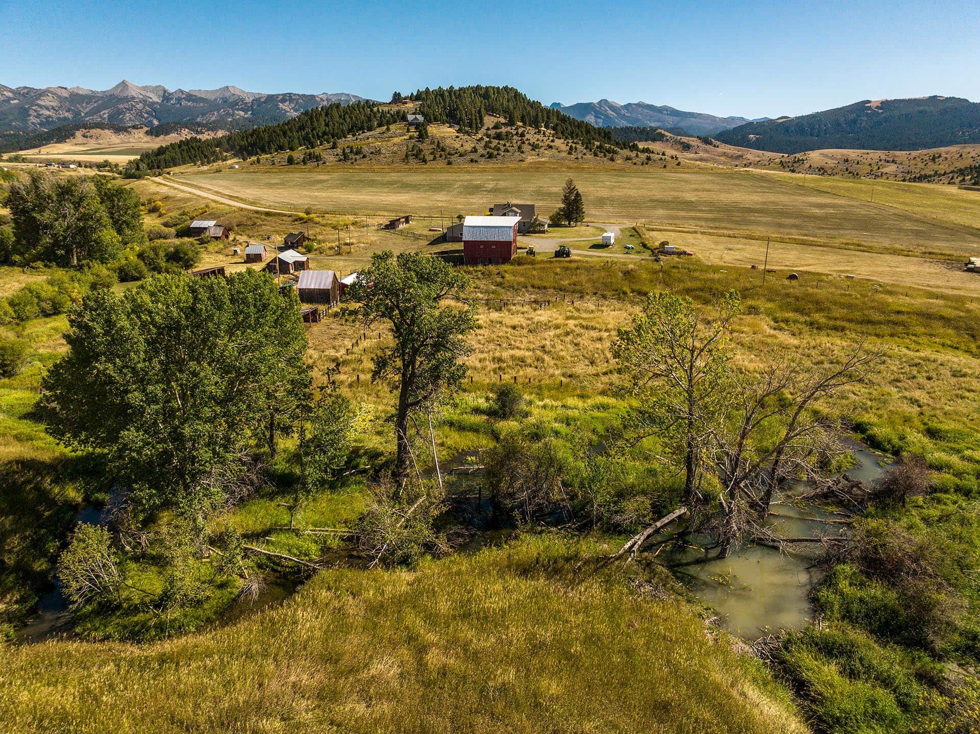cottonwood montana north fork horse creek