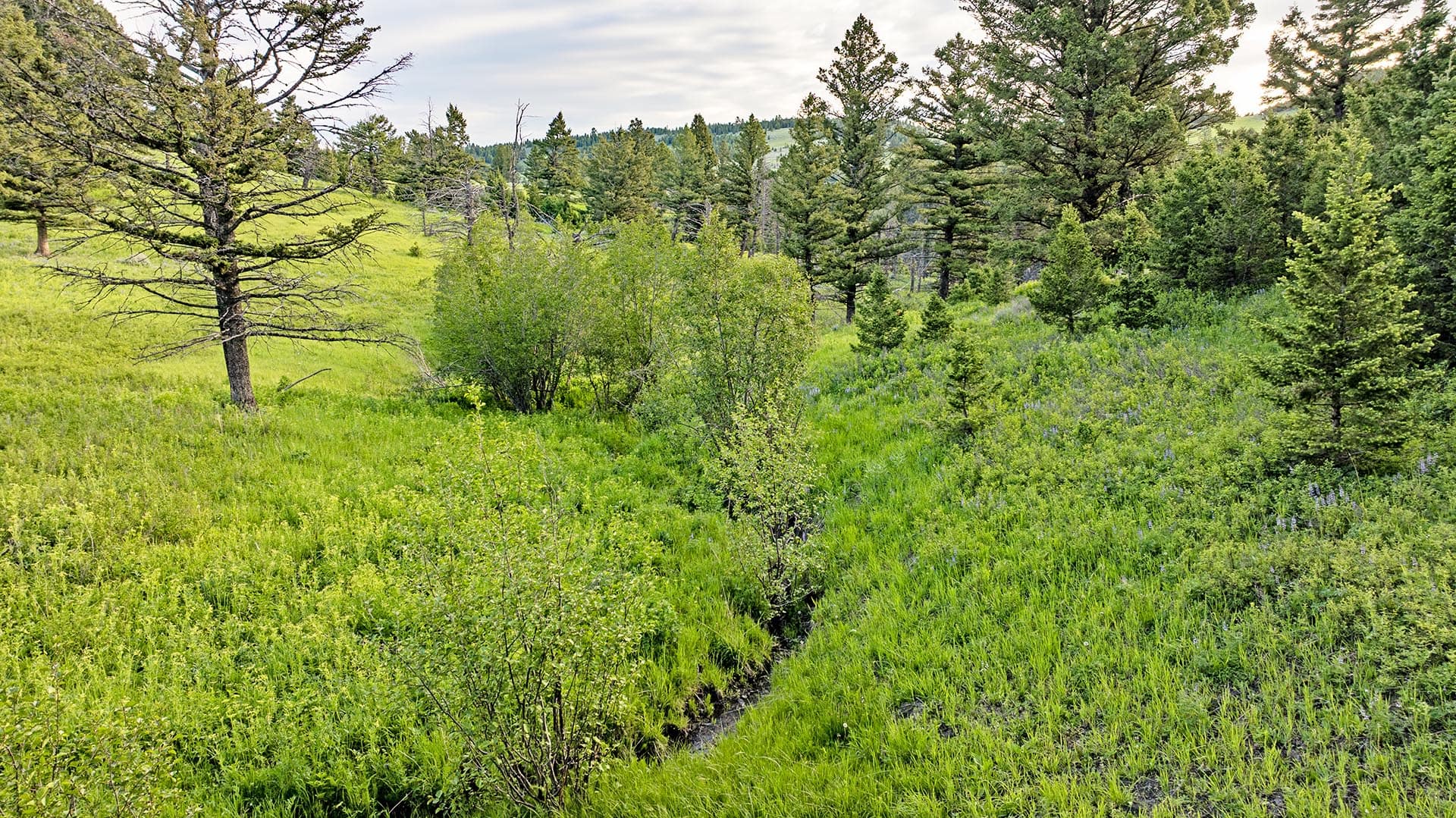 creek frontage land montana north bridger hunting retreat