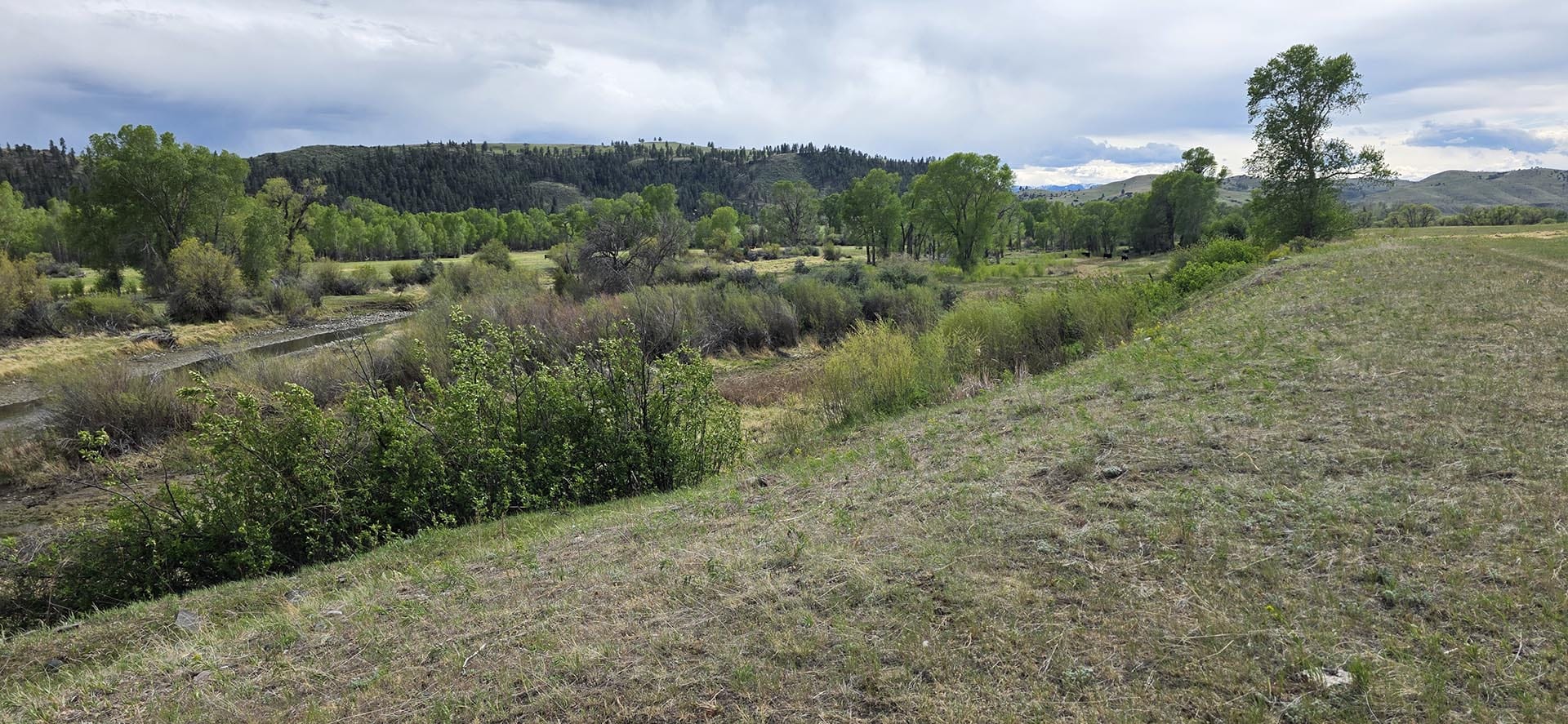 creek frontage land montana springtime ranch on the yellowstone river