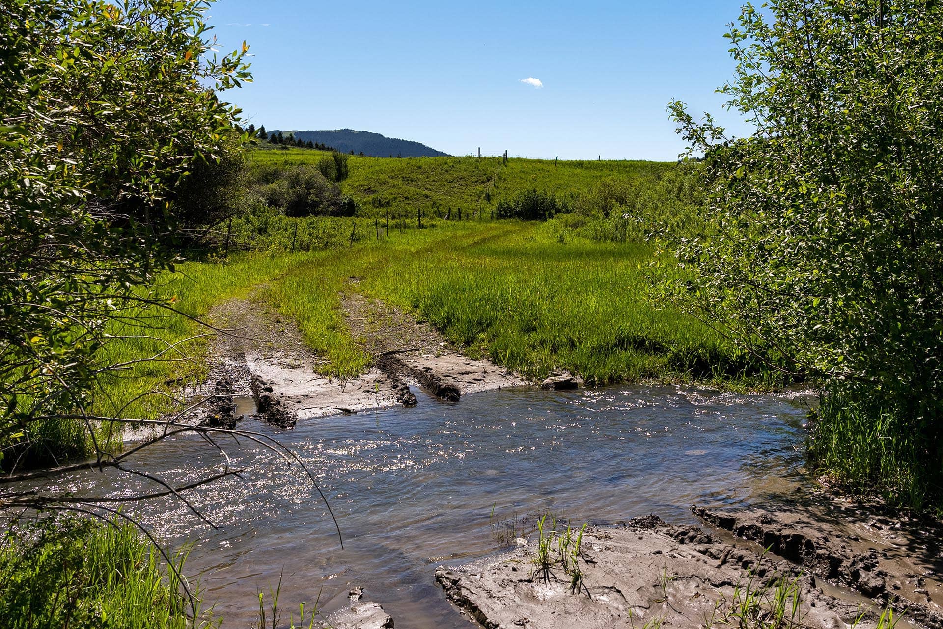 creek montana north fork horse creek