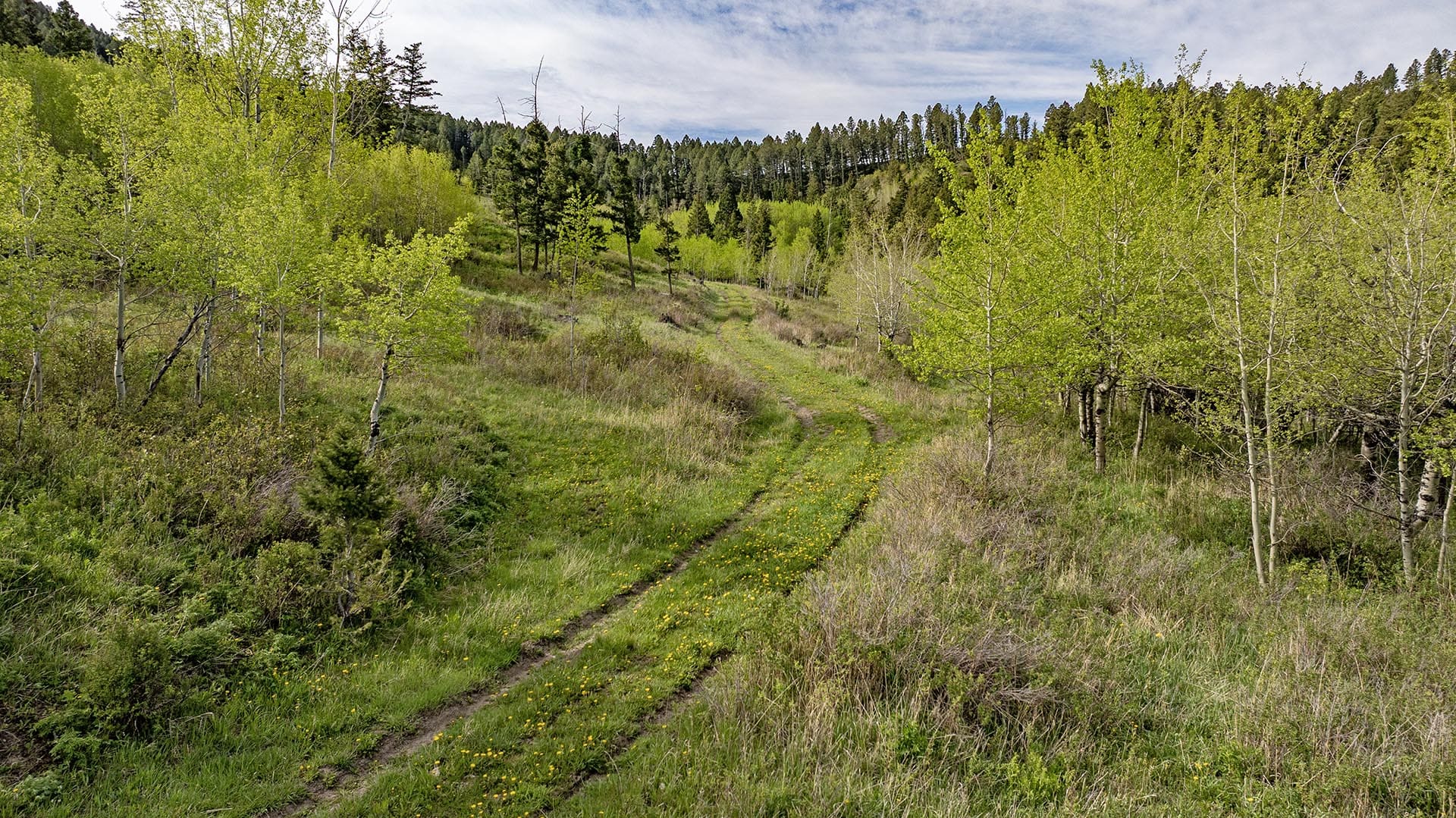 dirt track through grassy hillside land for sale montana east bridger preserve