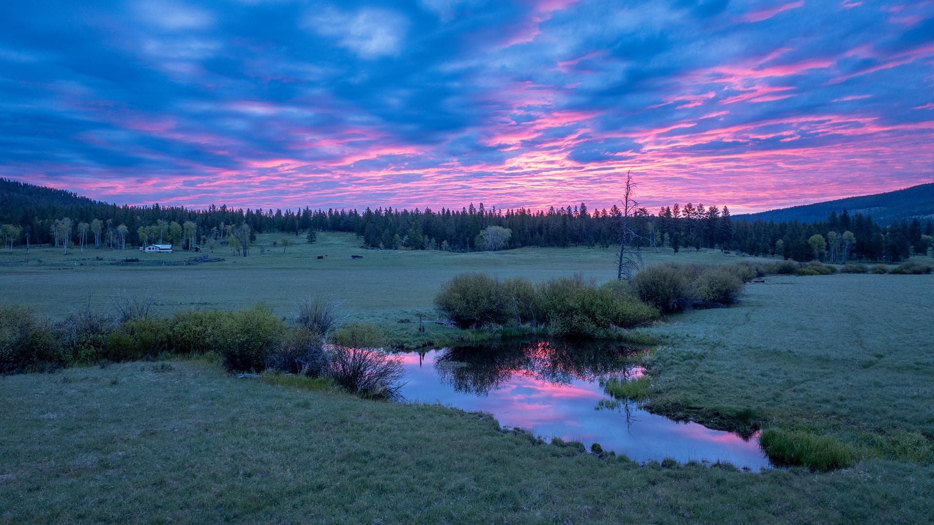 evening glow montana riley creek basin