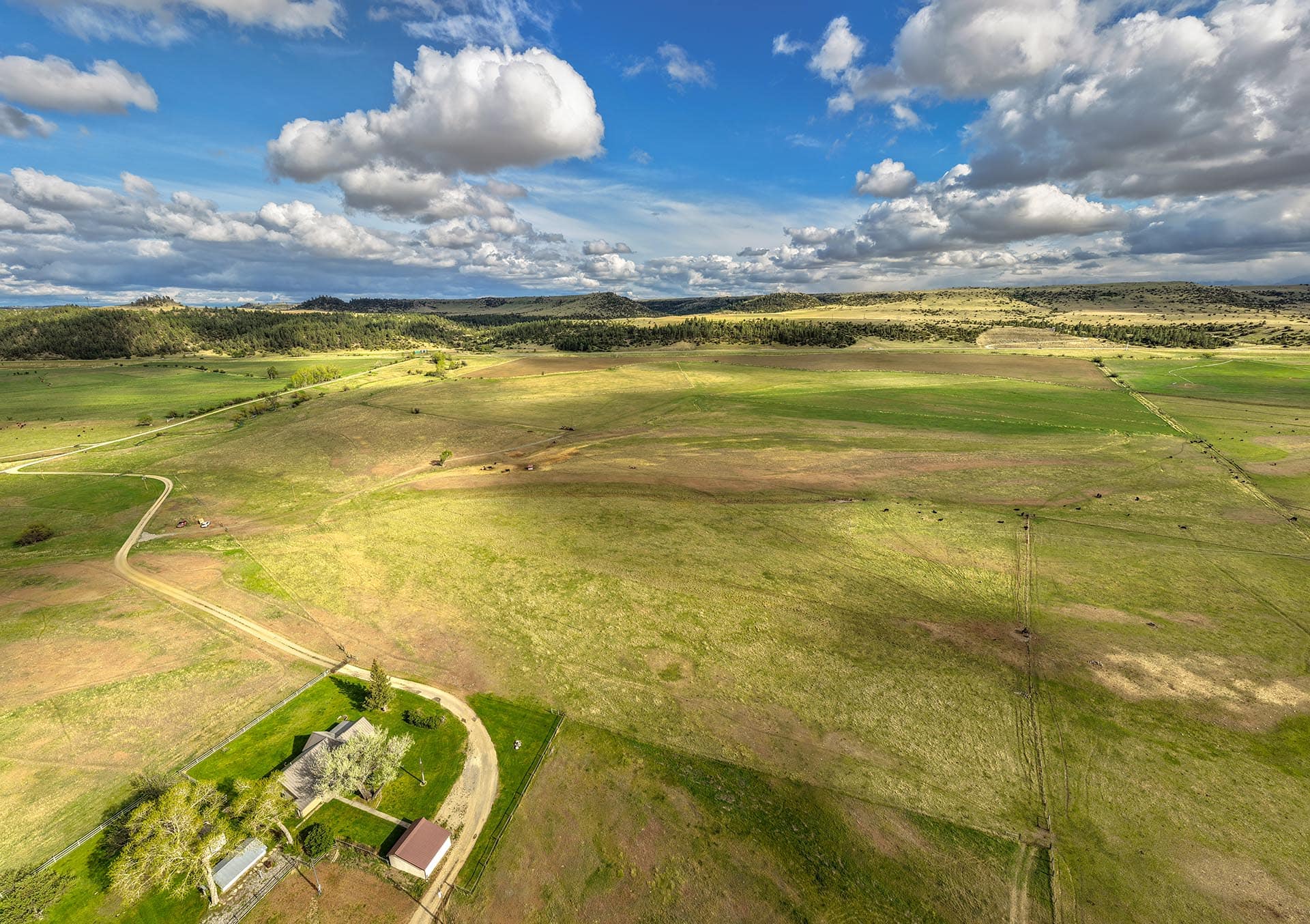expansive green fields land for sale montana stillwater riffle ranch