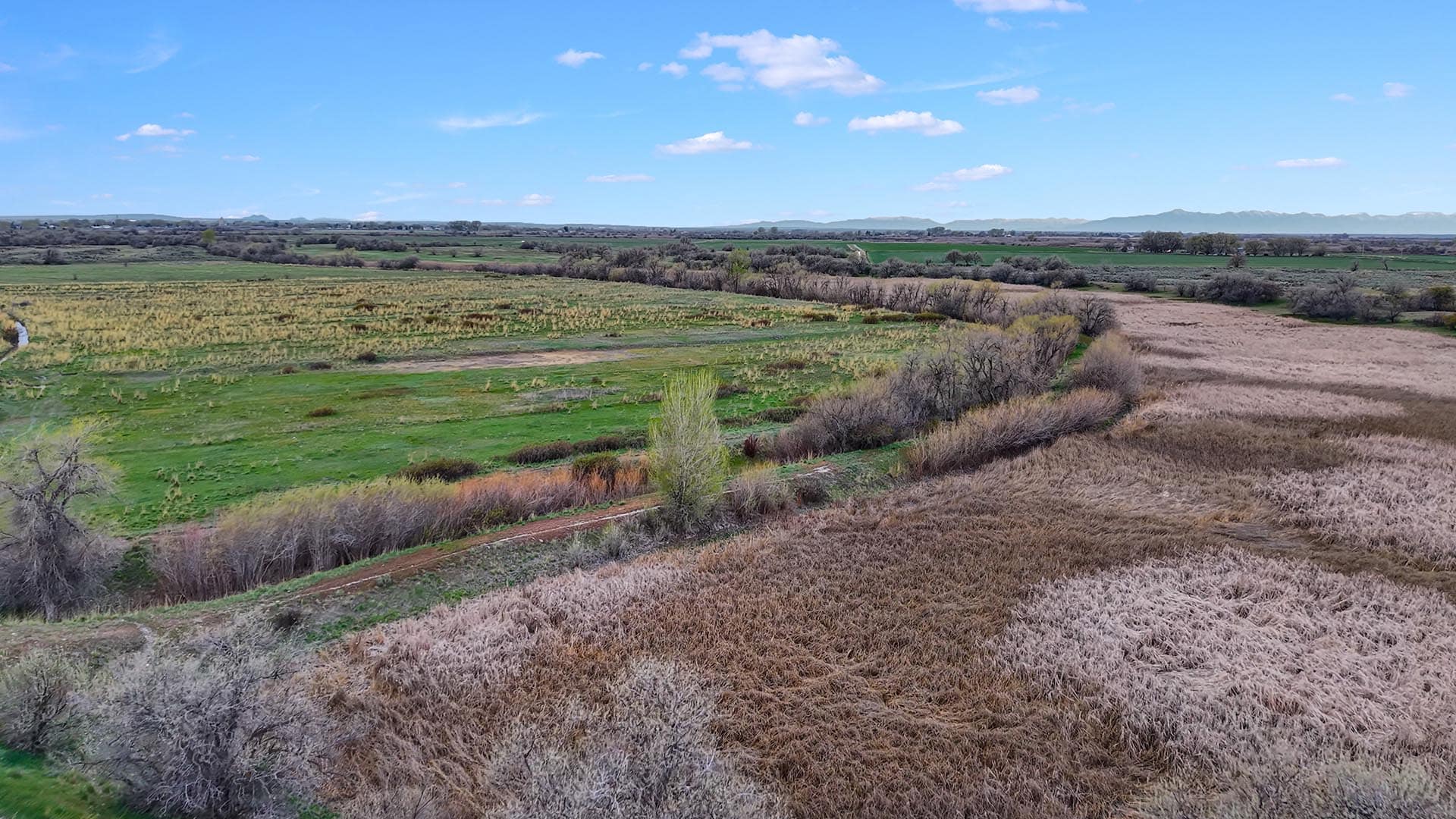 Wide rural valley with green fields, low shrubs, and distant mountains under a bright blue sky, mid-morning light.