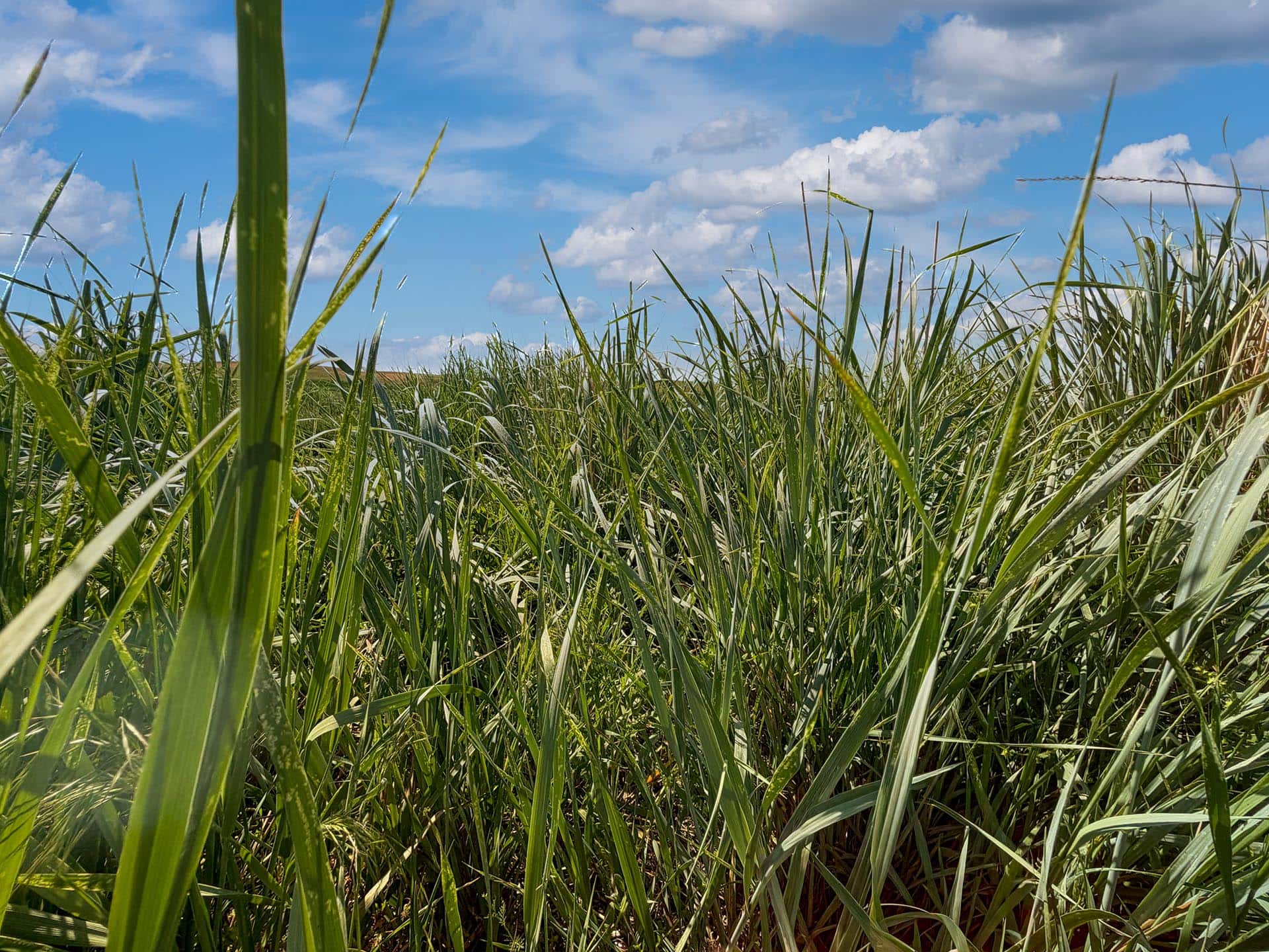 farmland for sale washington kingfish ranch