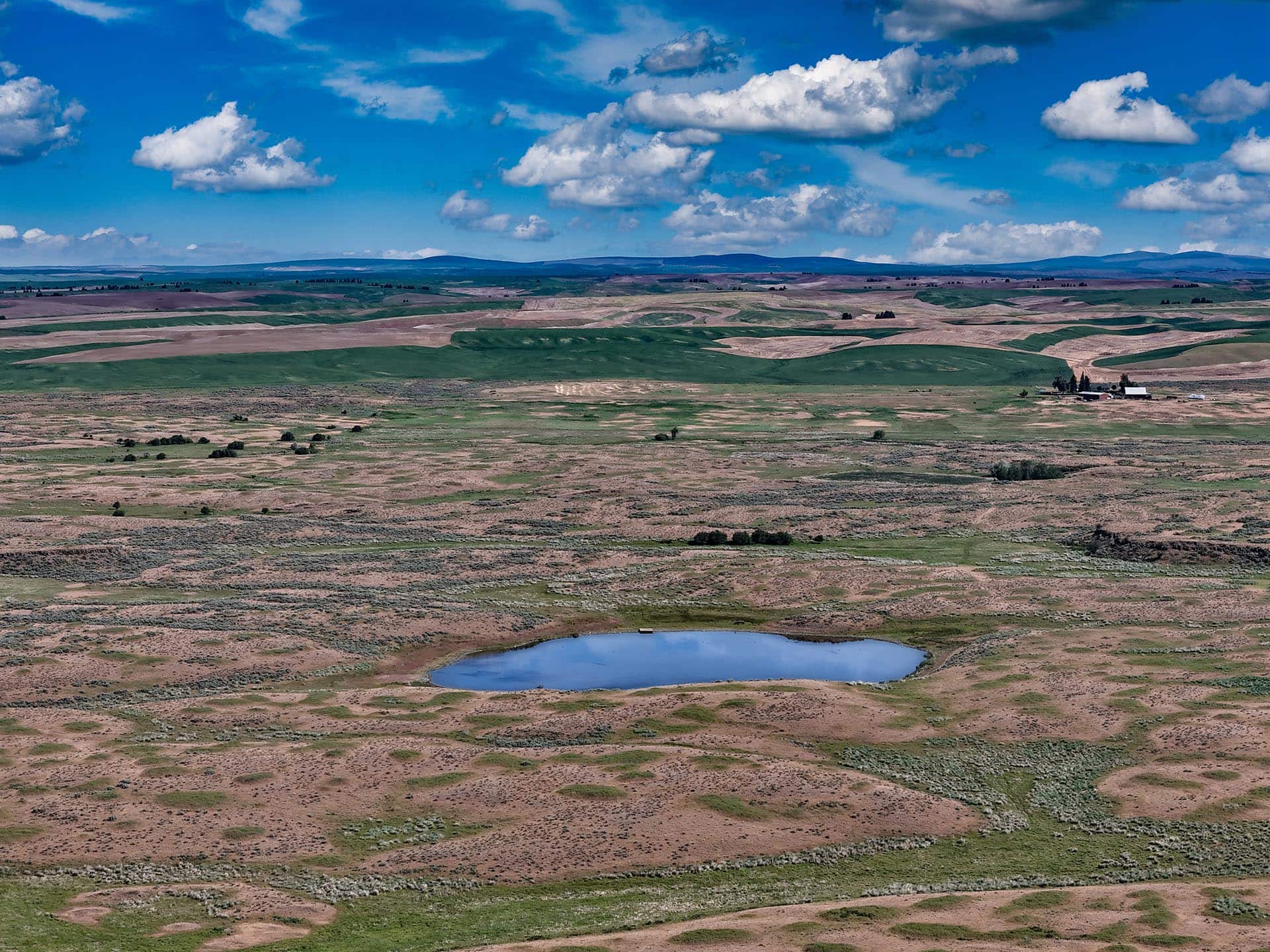 farmland with water washington kingfish ranch
