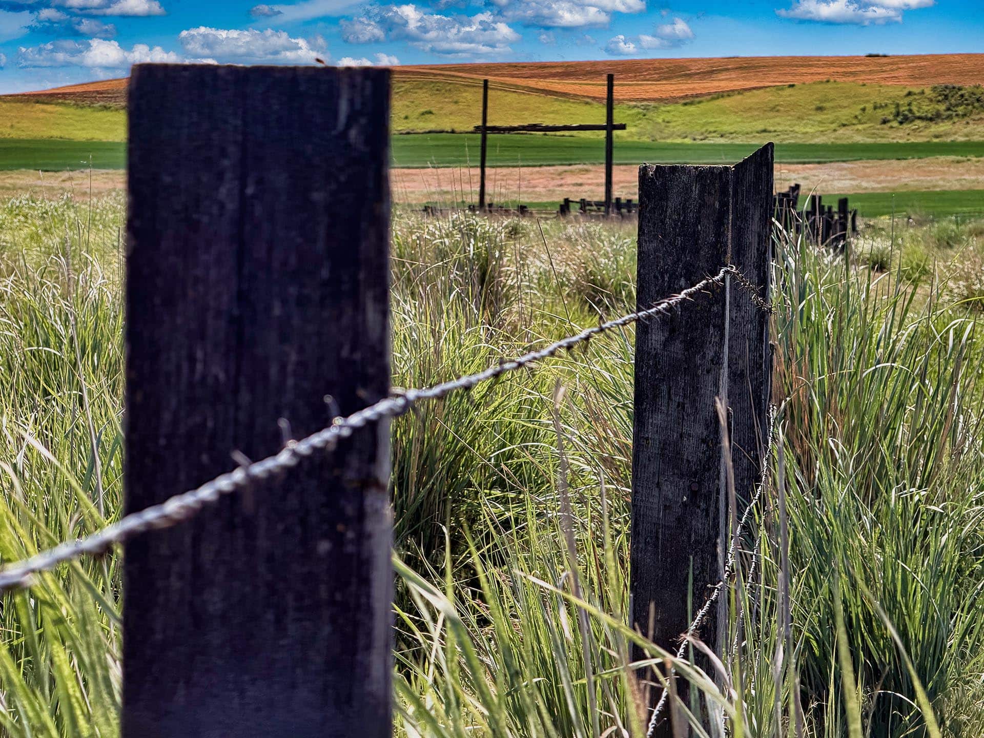 fenced pastureland washington kingfish ranch