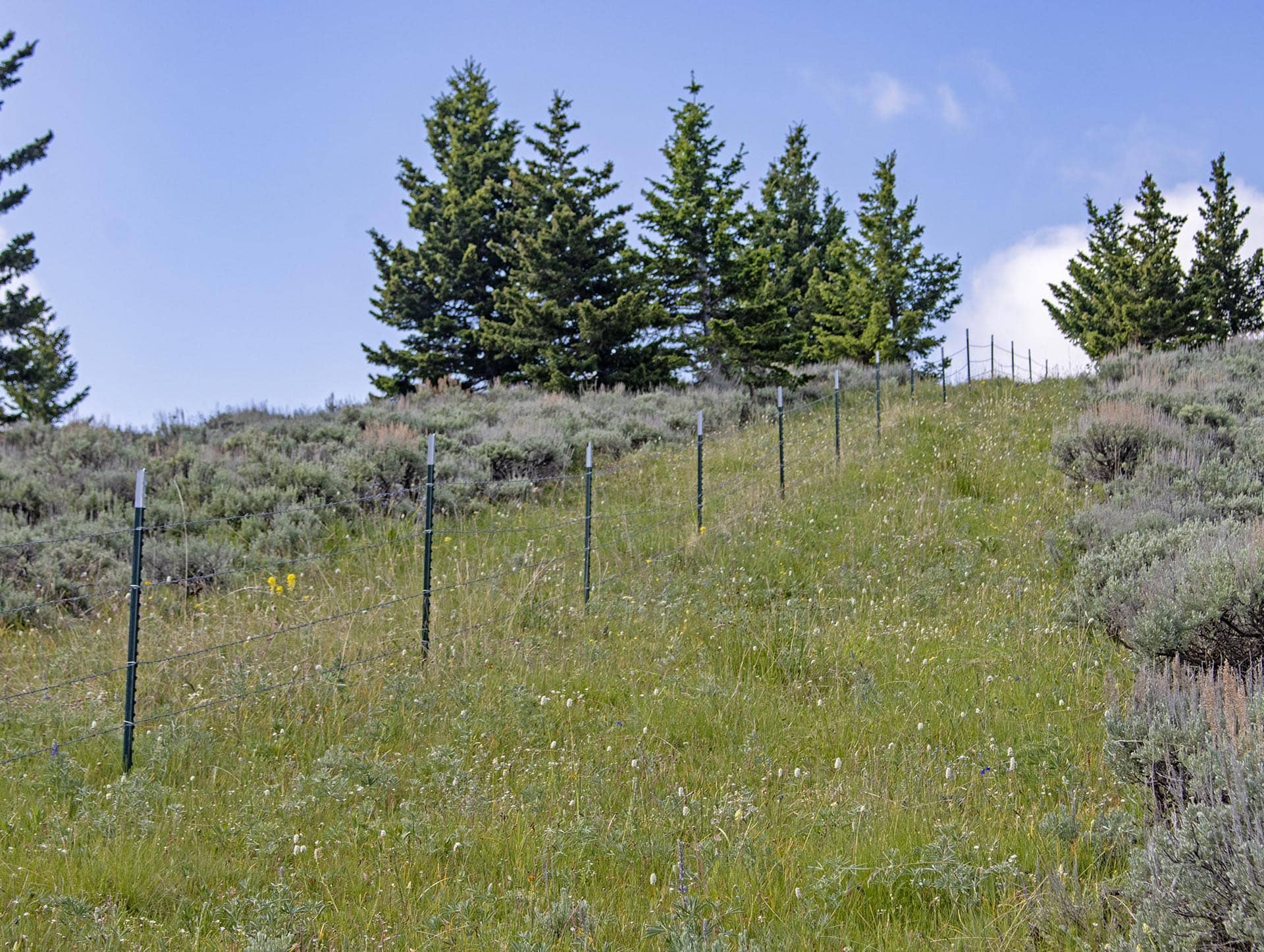 fenced property land for sale montana north bridger hunting retreat