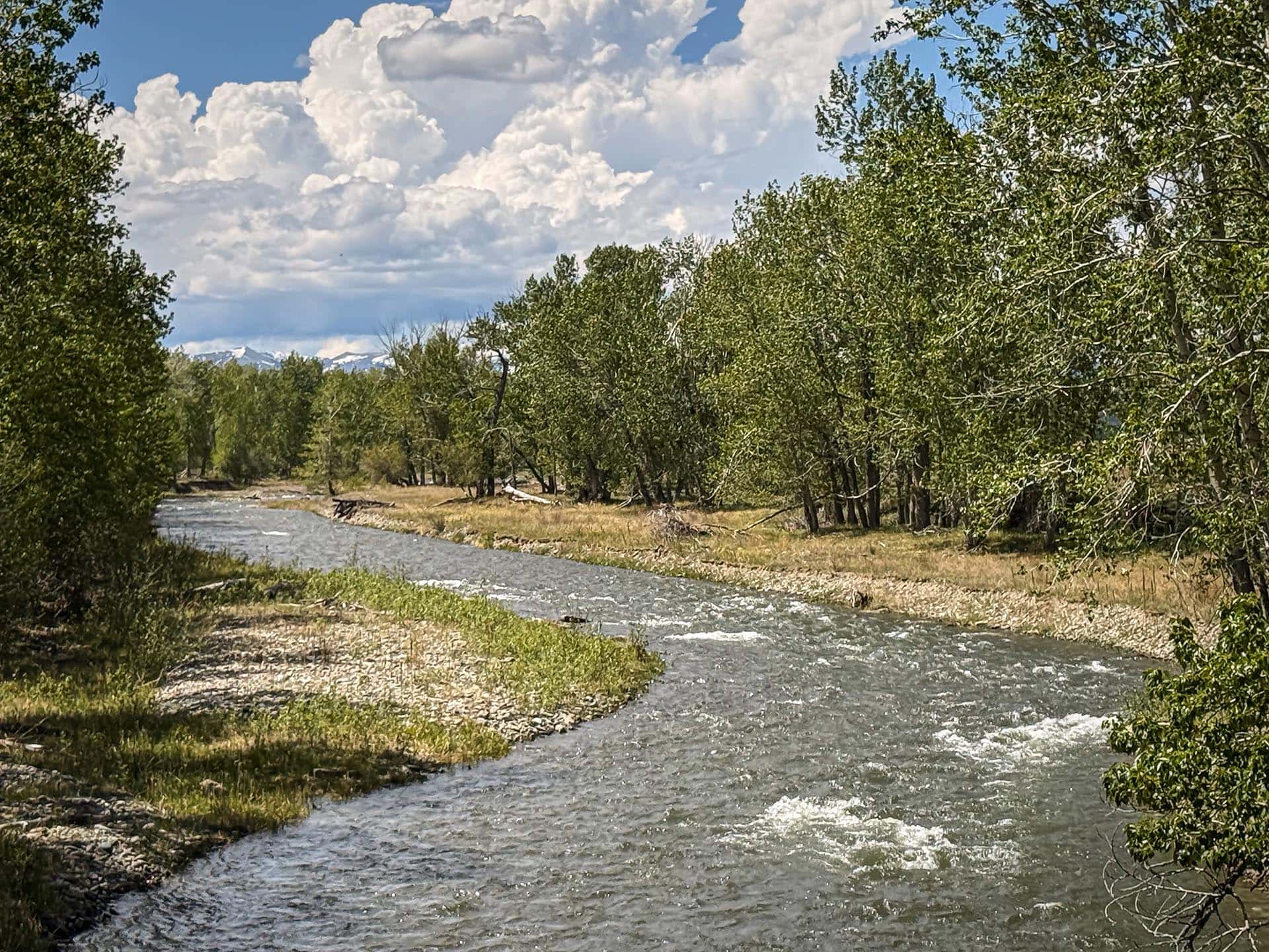 fishing montana crazy views ranch