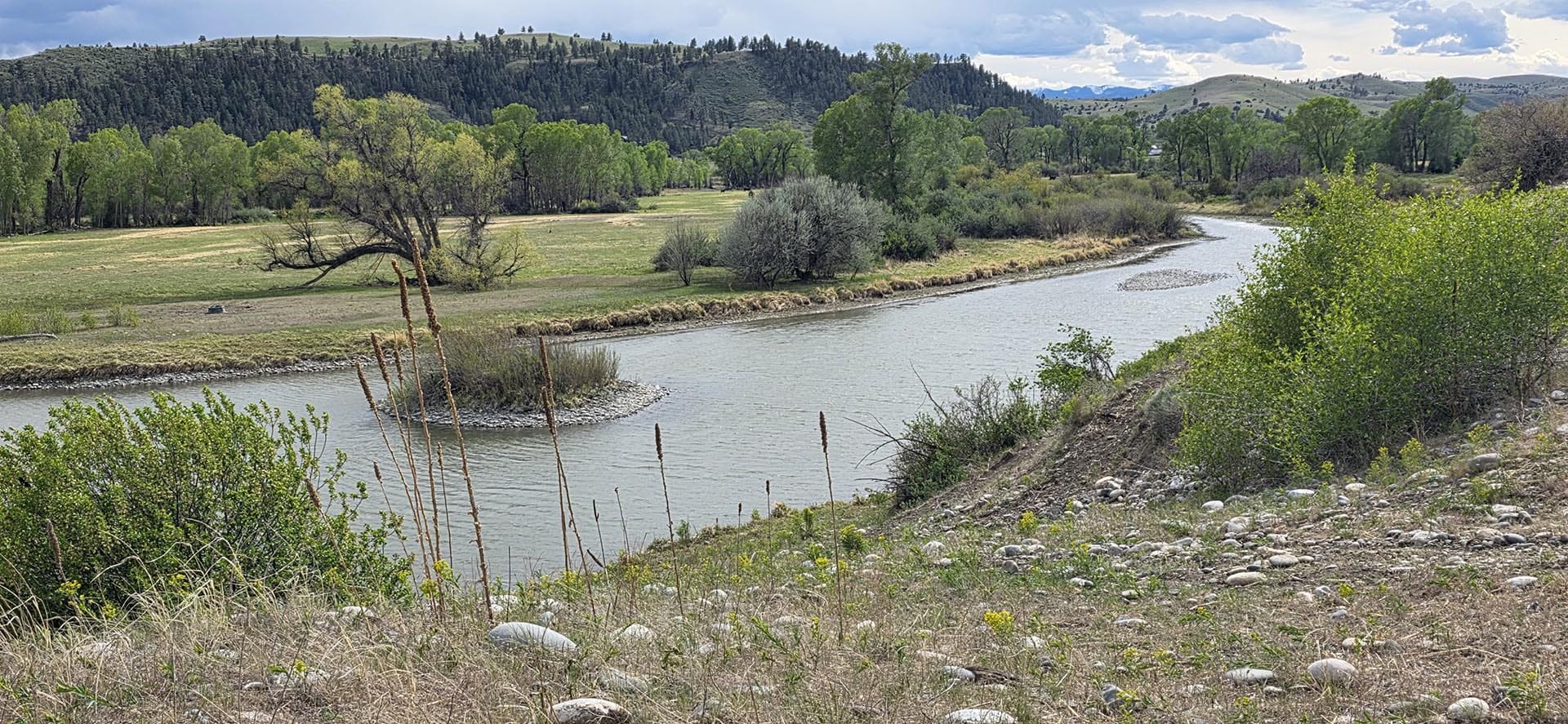 fly fishing property for sale montana springtime ranch on the yellowstone river view 50 montana springtime ranch on the yellows