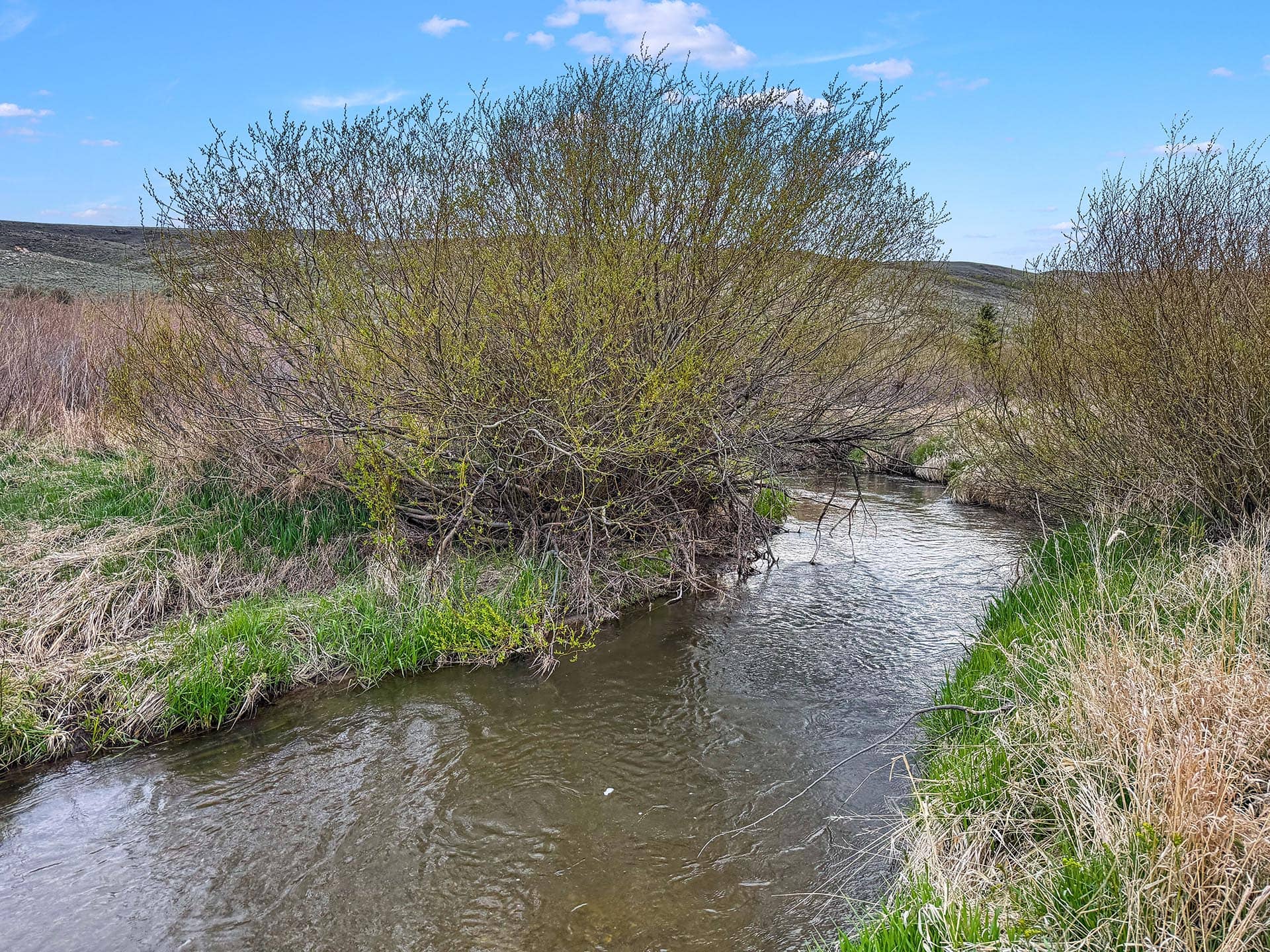 fly fishing property land id medicine lodge creek