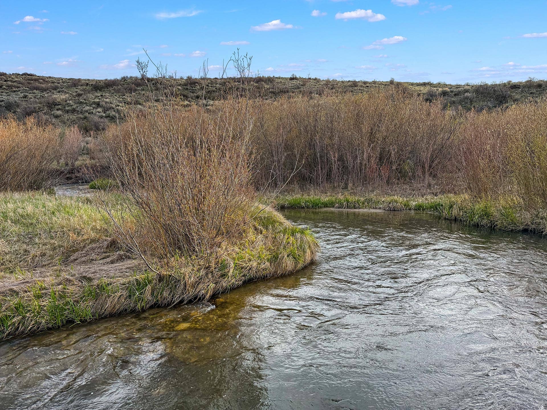 fly fishing property with clear creek id medicine lodge creek
