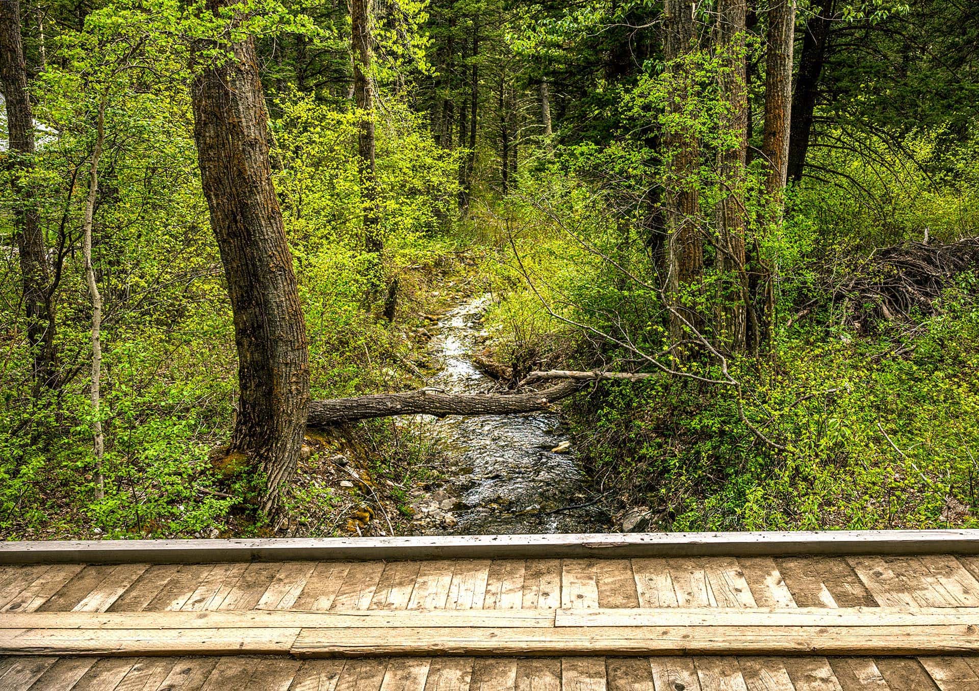 forest with private stream for sale montana bozeman creekside hideaway