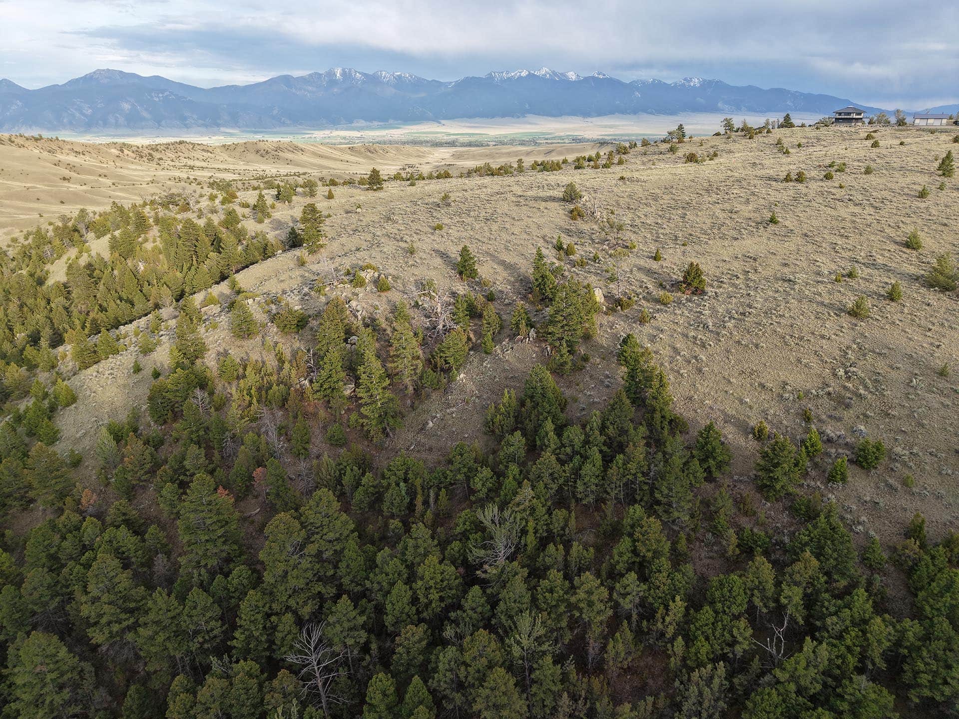 forested hills land motnana little fish creek lookout