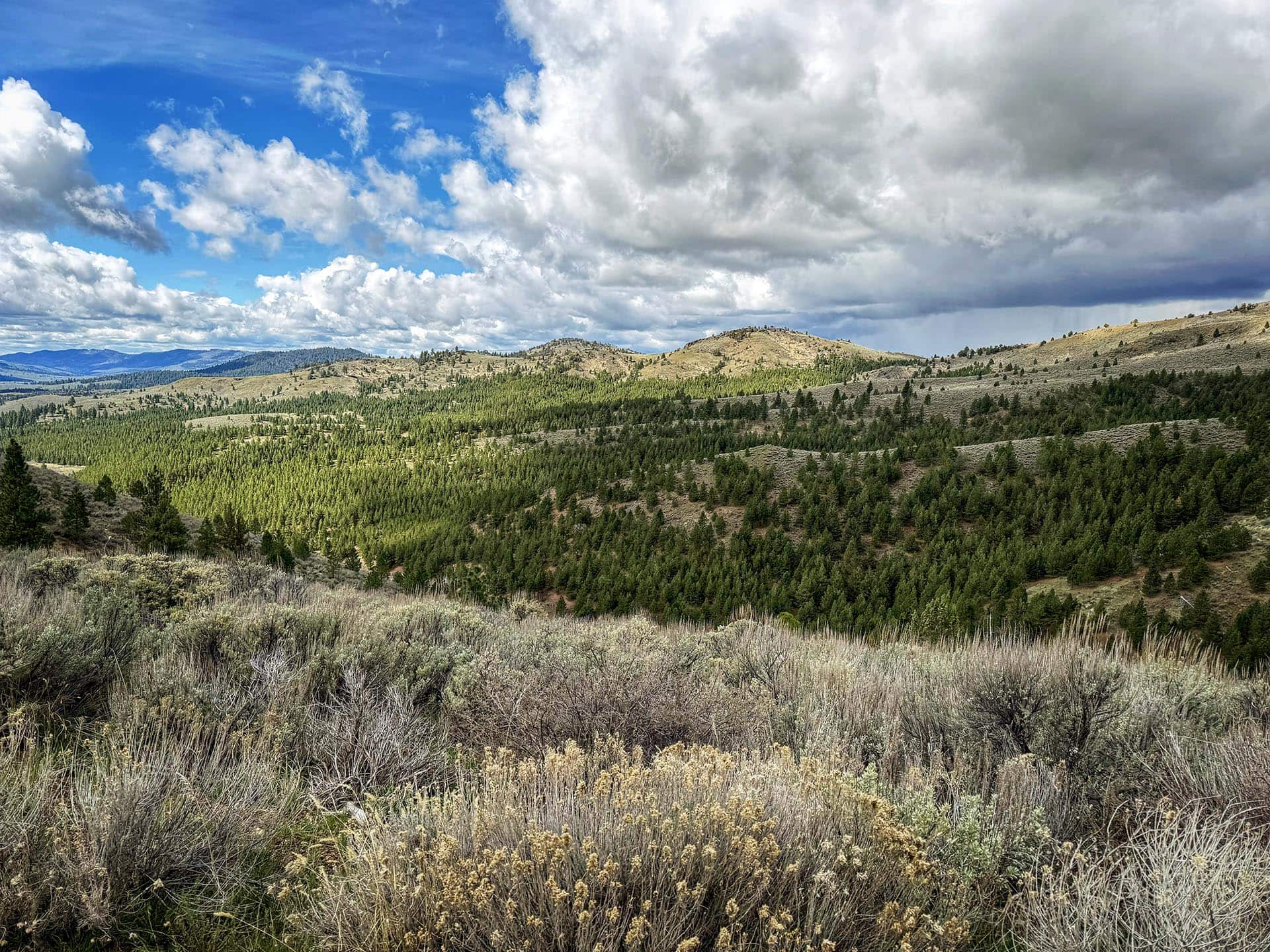 forested hills large acreage for sale oregon ironside castle rock ranch