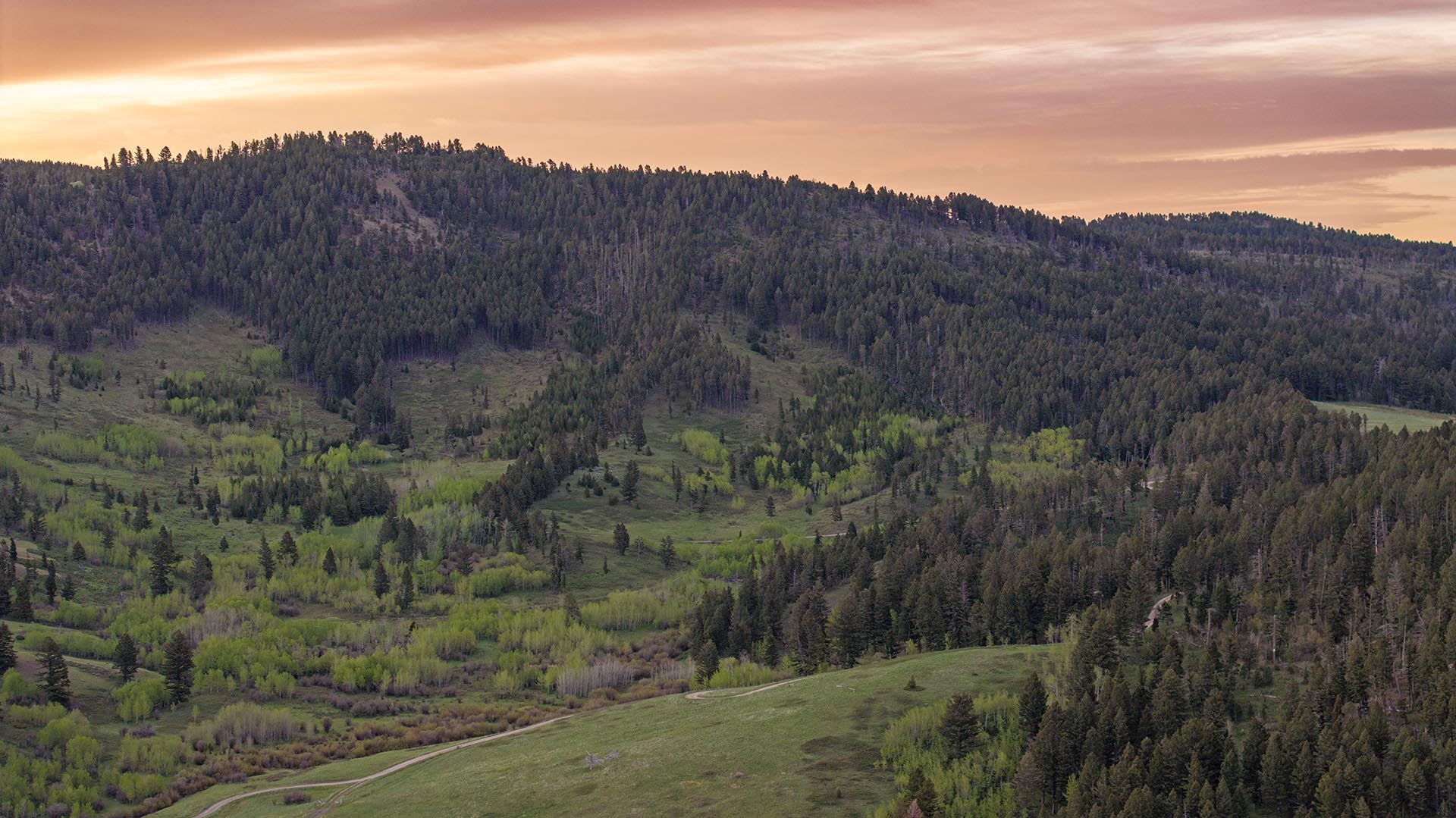 forested hills with sunset views and dirt road land for sale montana east bridger preserve