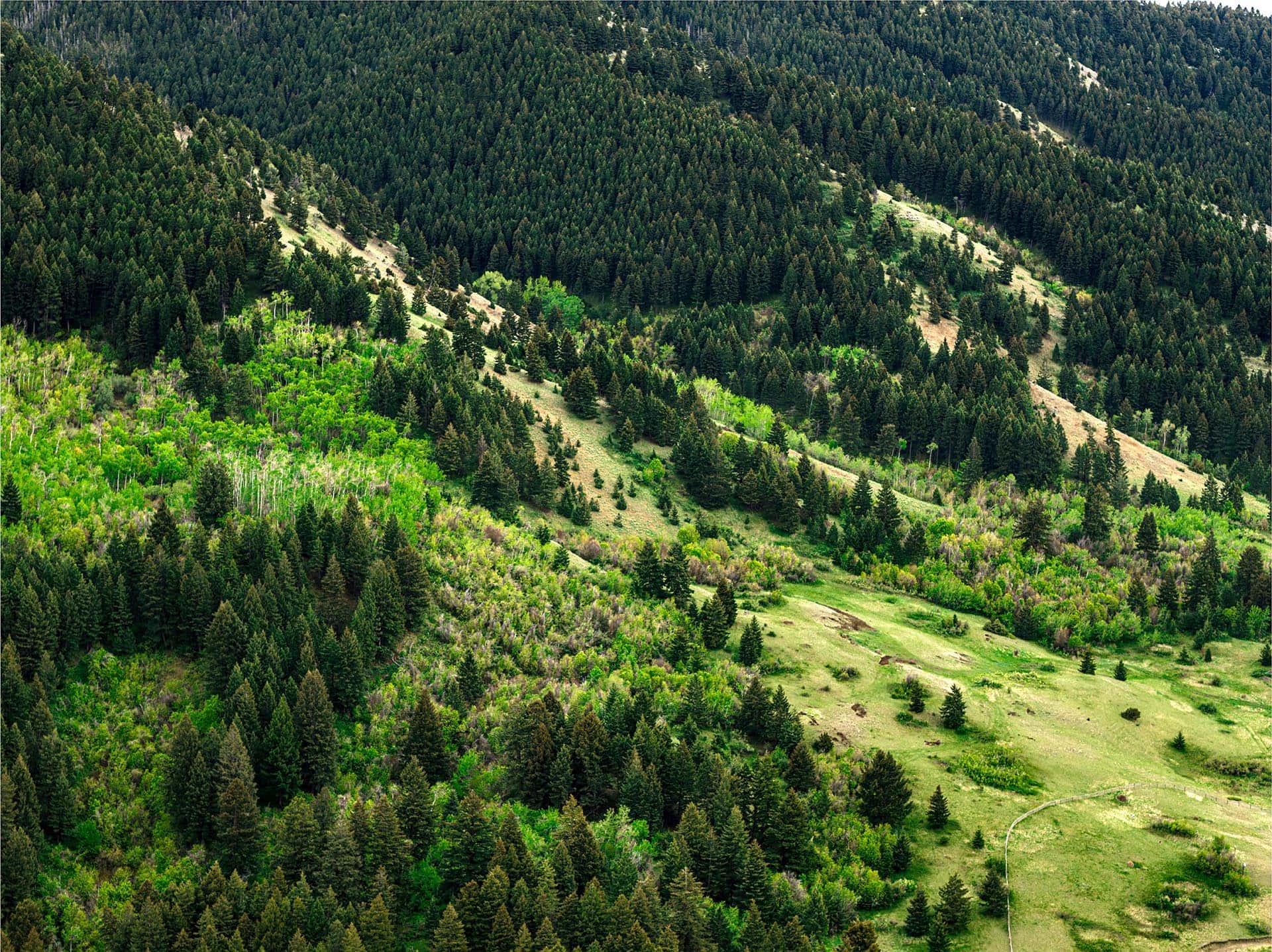 forested hillside land for sale montana bozeman creekside hideaway