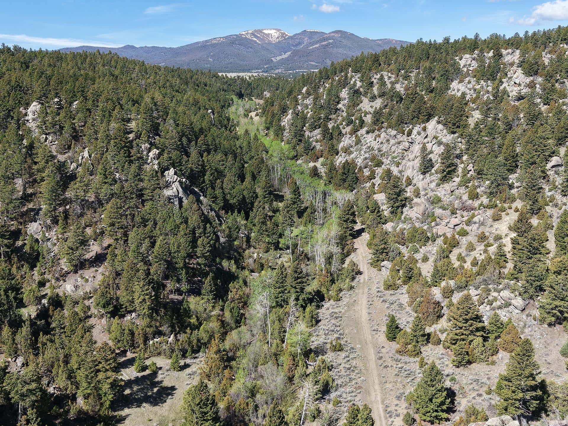 forested mountain land montana little fish creek lookout