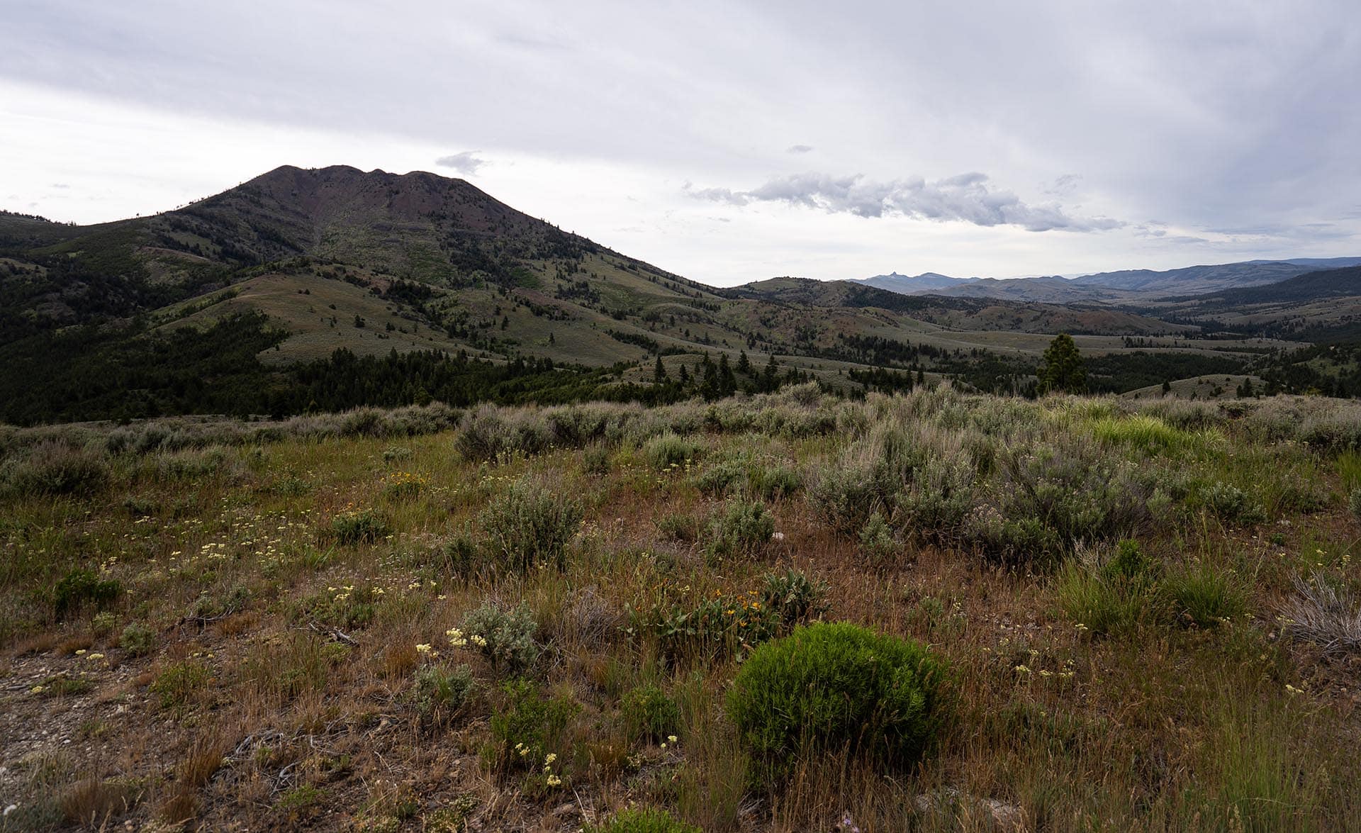 forested mountain land with sagebrush oregon ironside castle rock ranch