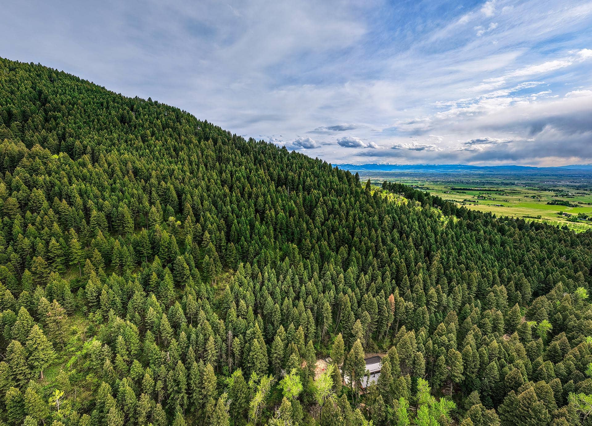 forested mountain land with secluded home montana bozeman creekside hideaway