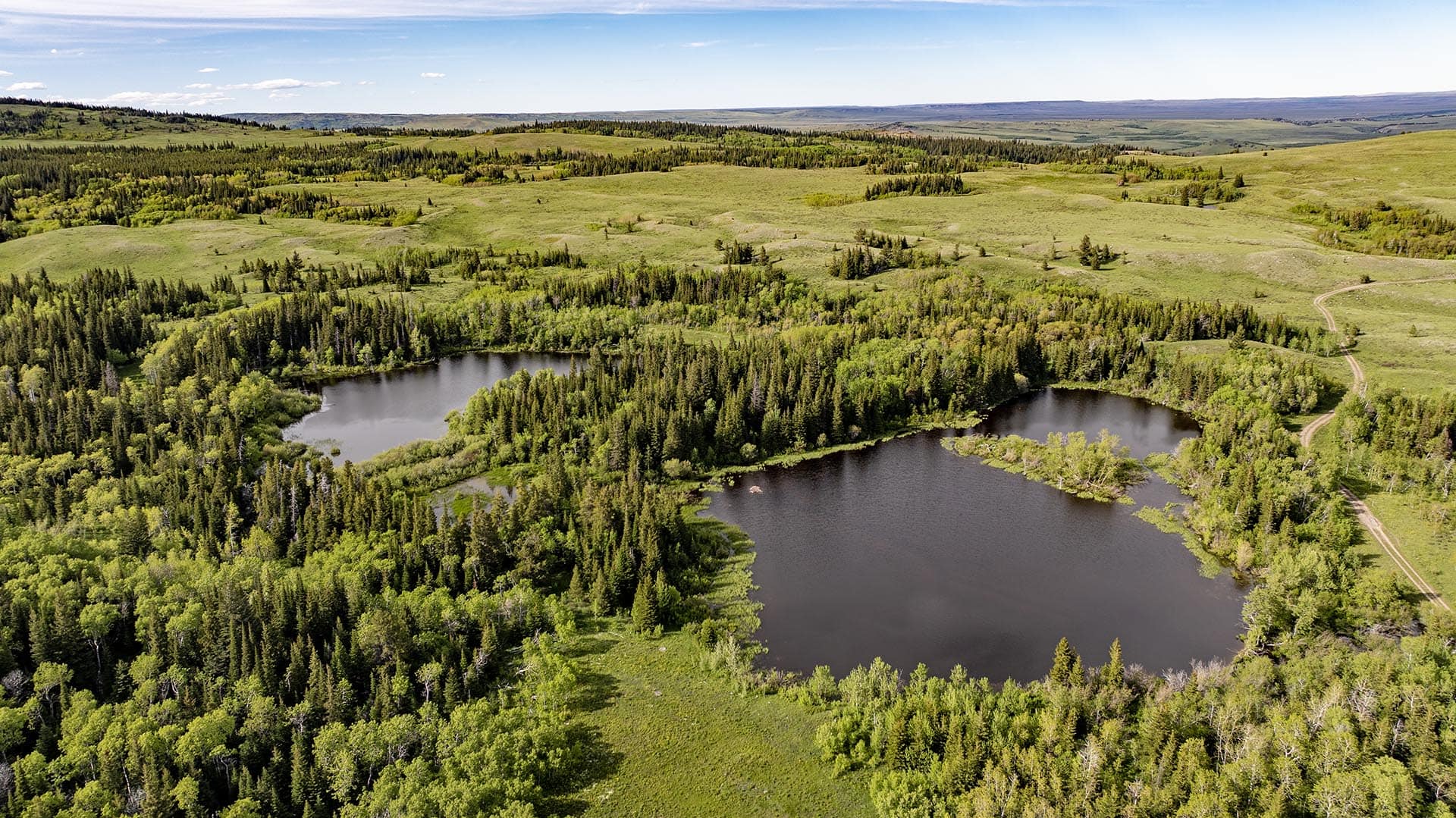 forested ponds land montana two medicine legacy ranch