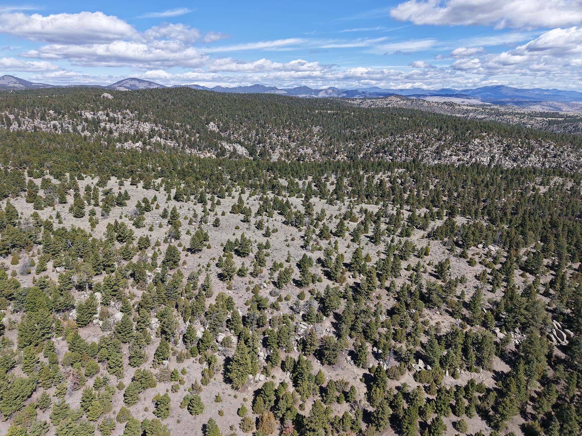 forested recreational land for sale montana little fish creek lookout