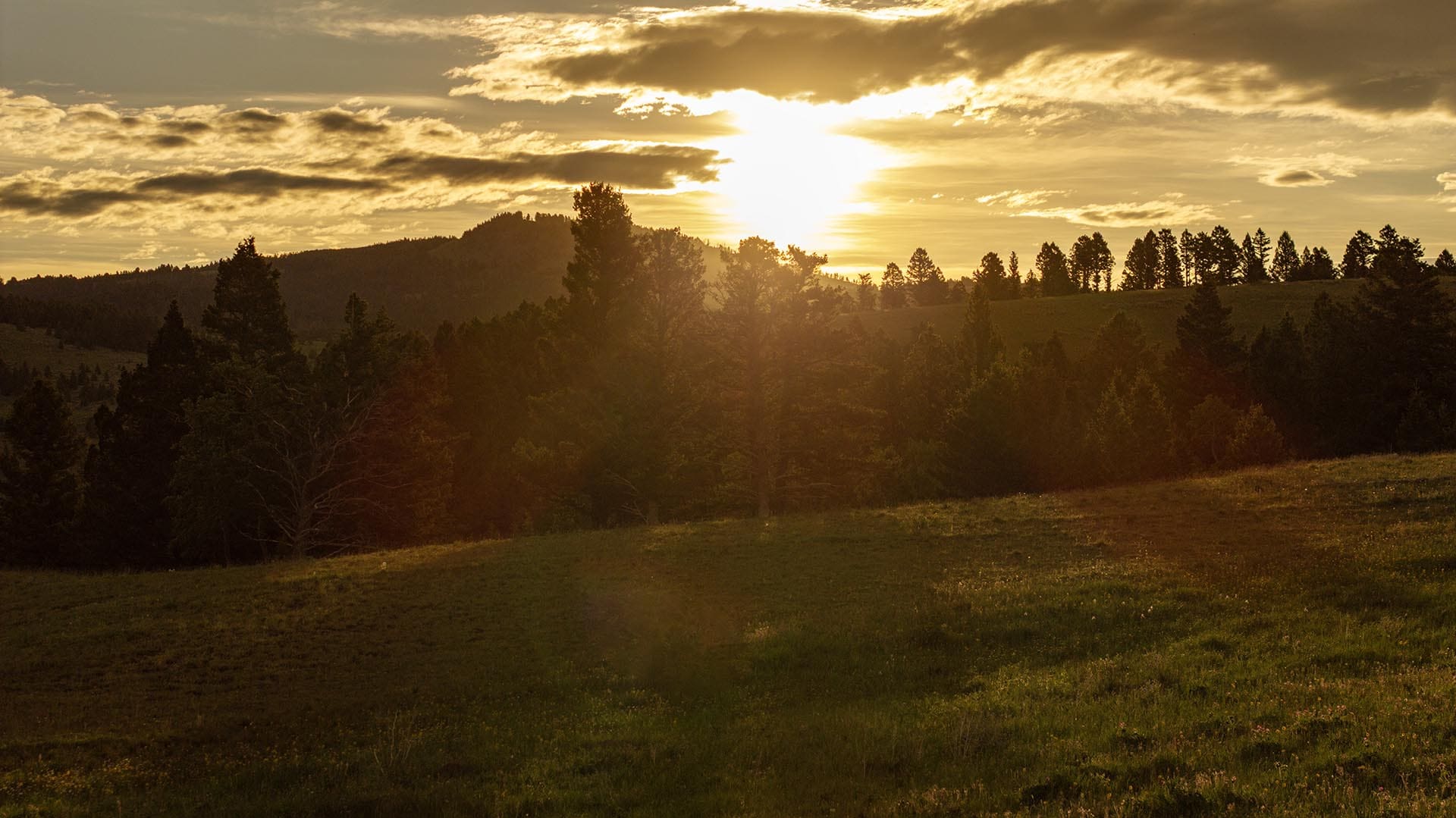 golden hour mountain view land montana north bridger hunting retreat