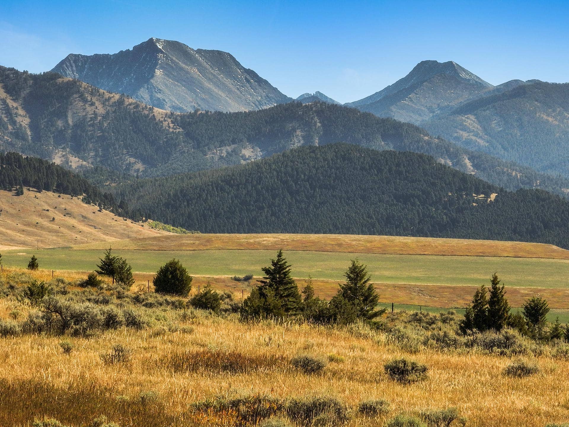 gorgeous montana north fork horse creek