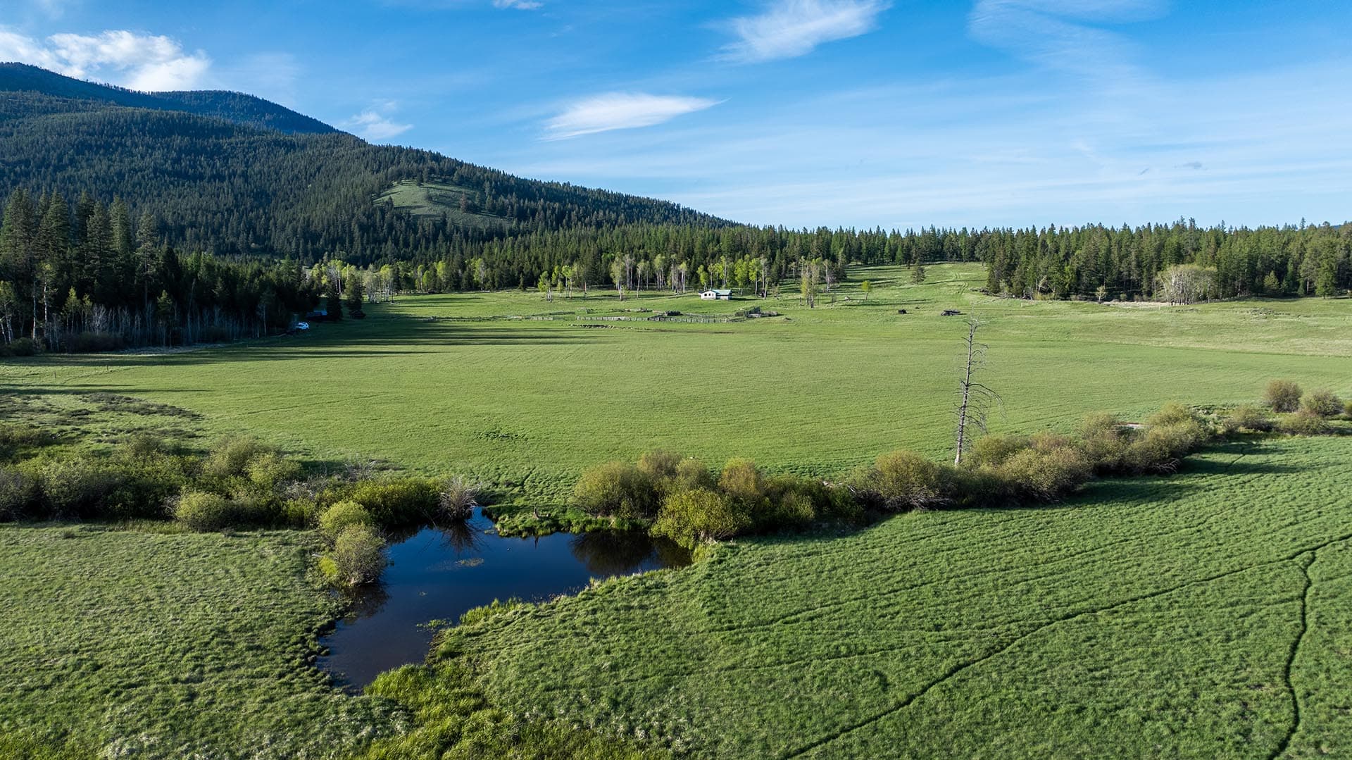 grass meadow montana riley creek basin
