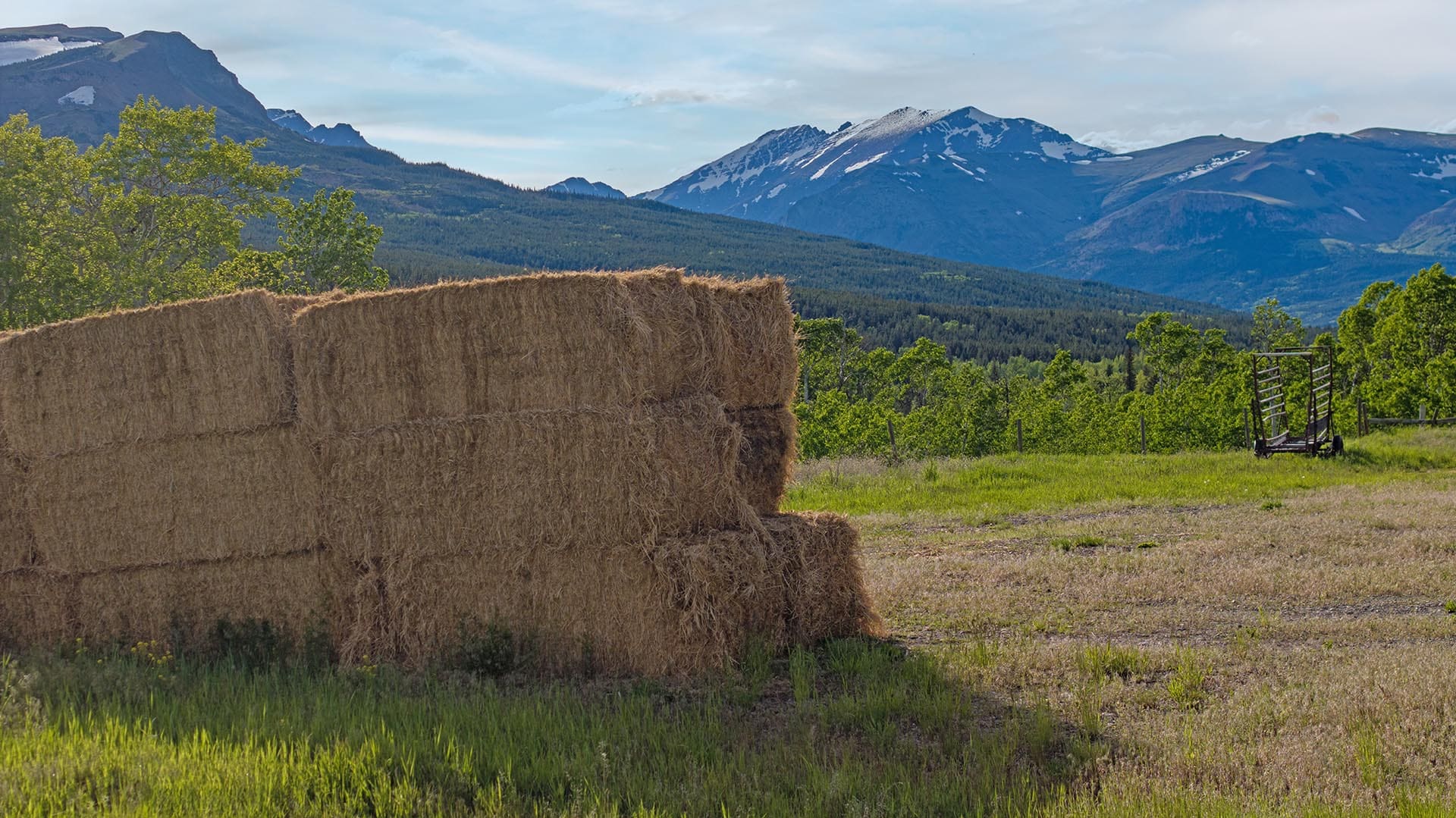 hay field mountain view land montana two medicine legacy ranch