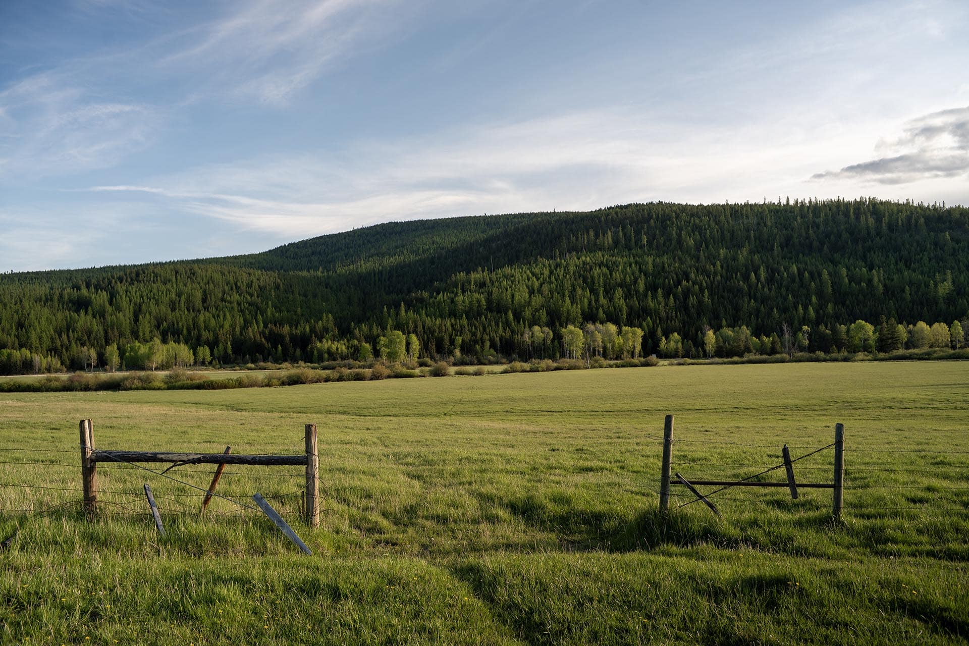 hay meadow montana riley creek basin