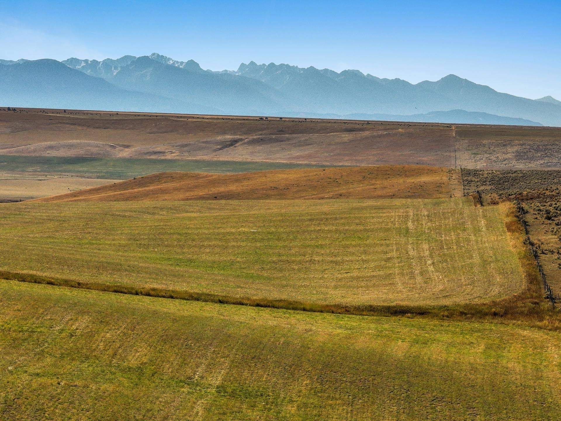 hay montana north fork horse creek
