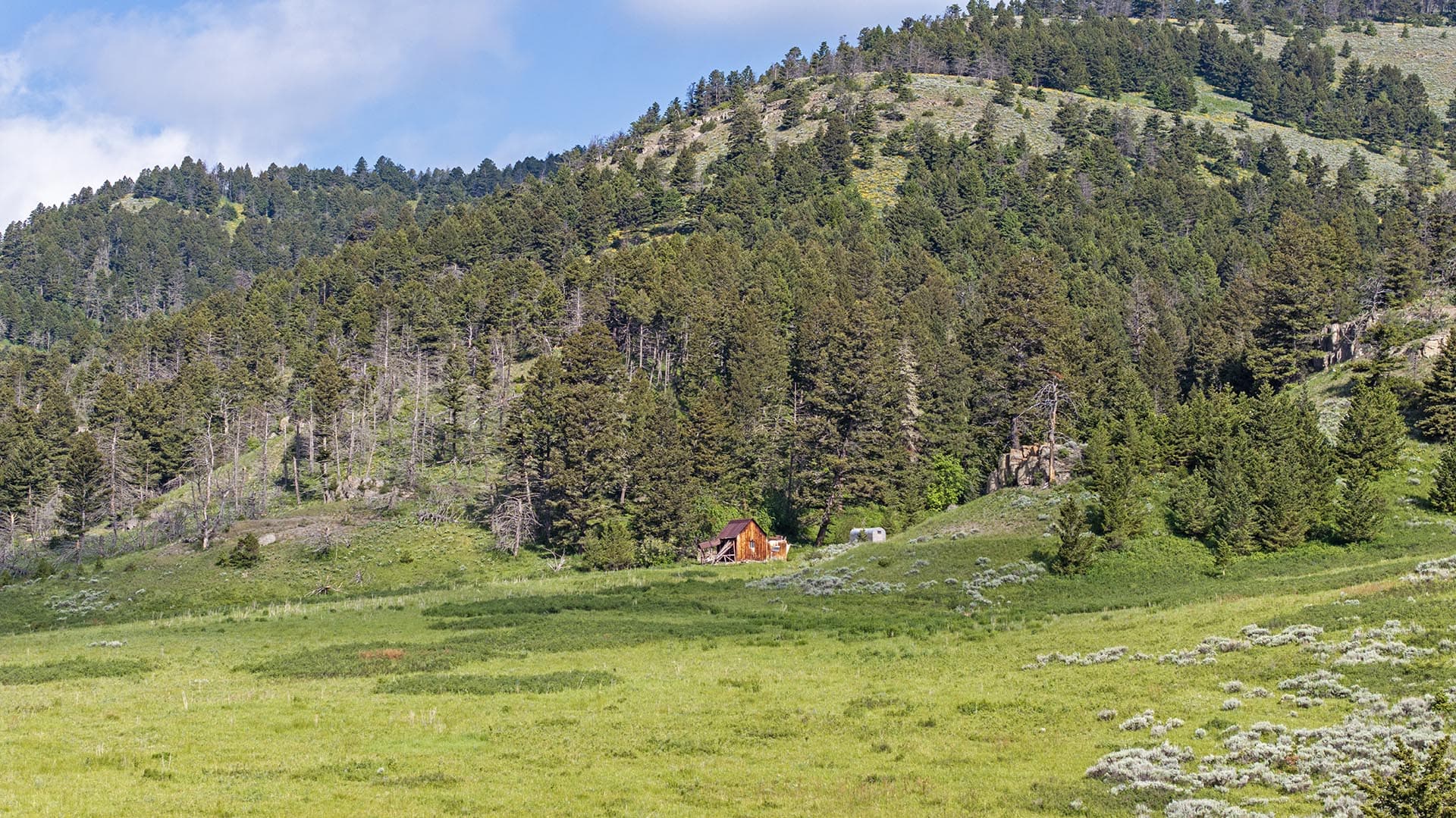 hunting cabin property for sale montana north bridger hunting retreat