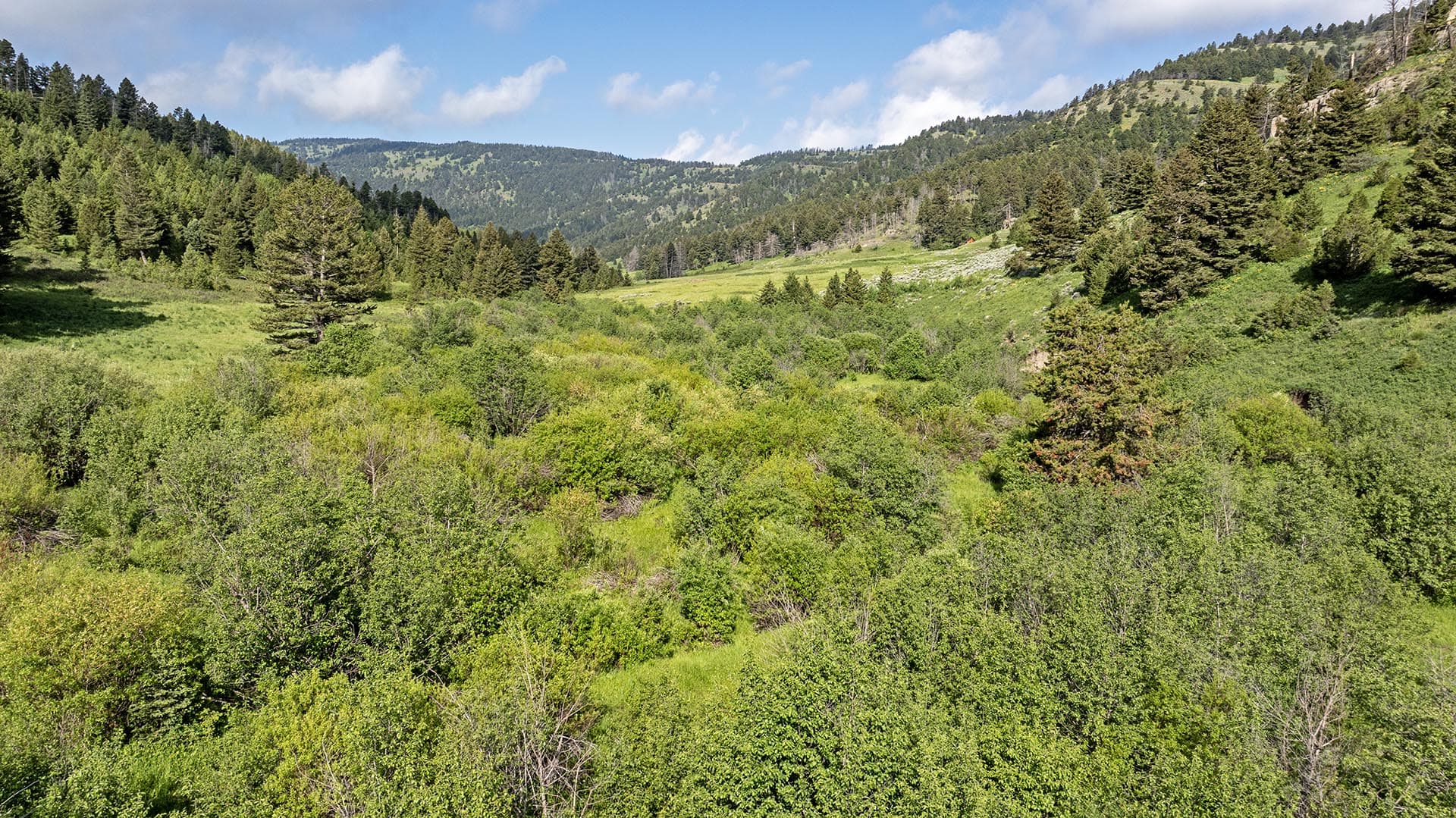 hunting property for sale montana north bridger hunting retreat