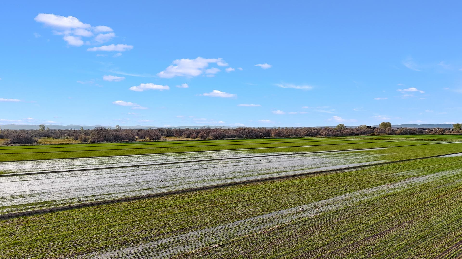 irrigated crop fields 188 acres for sale idaho oxbow crescent