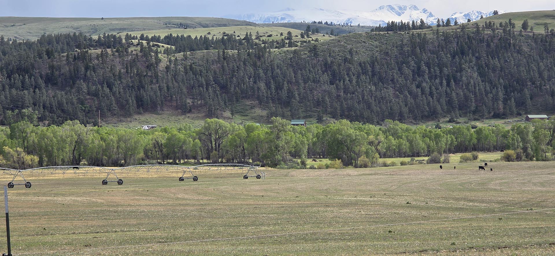 irrigated farm land for sale montana springtime ranch on the yellowstone river