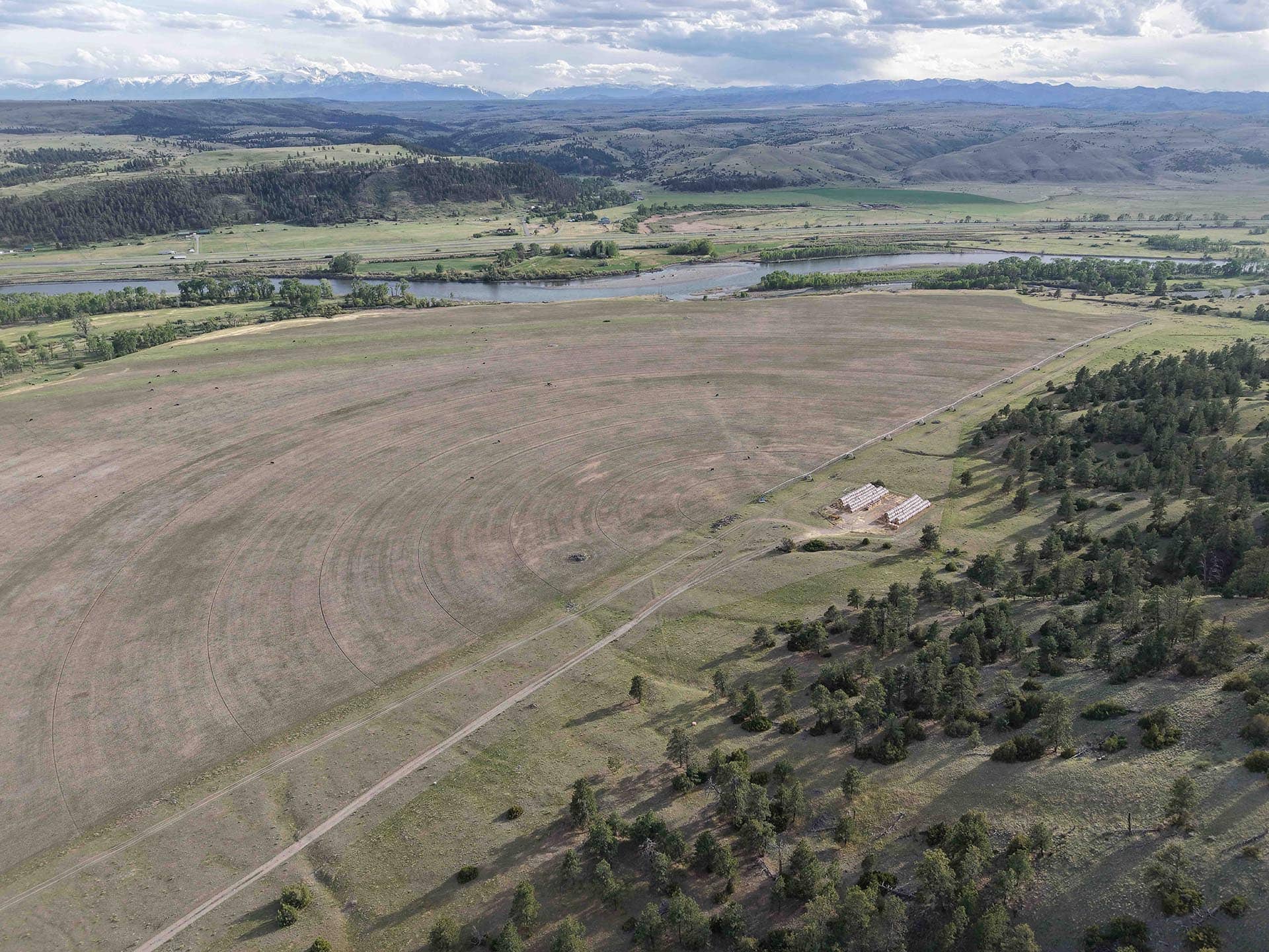 irrigated farm land for sale with outbuildings montana springtime ranch on the yellowstone river