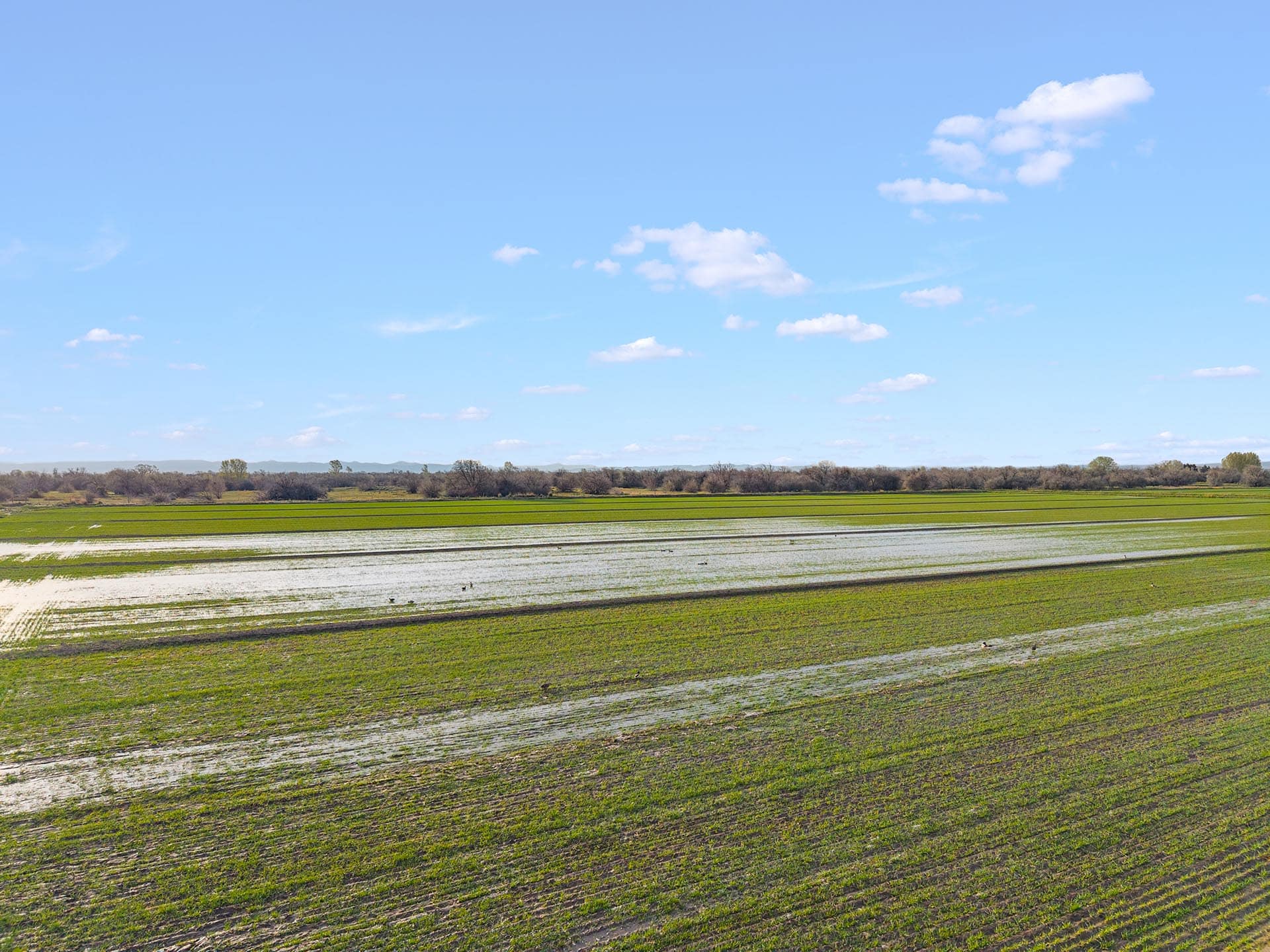 irrigated farm land idaho oxbow crescent view 33 idaho oxbow crescent