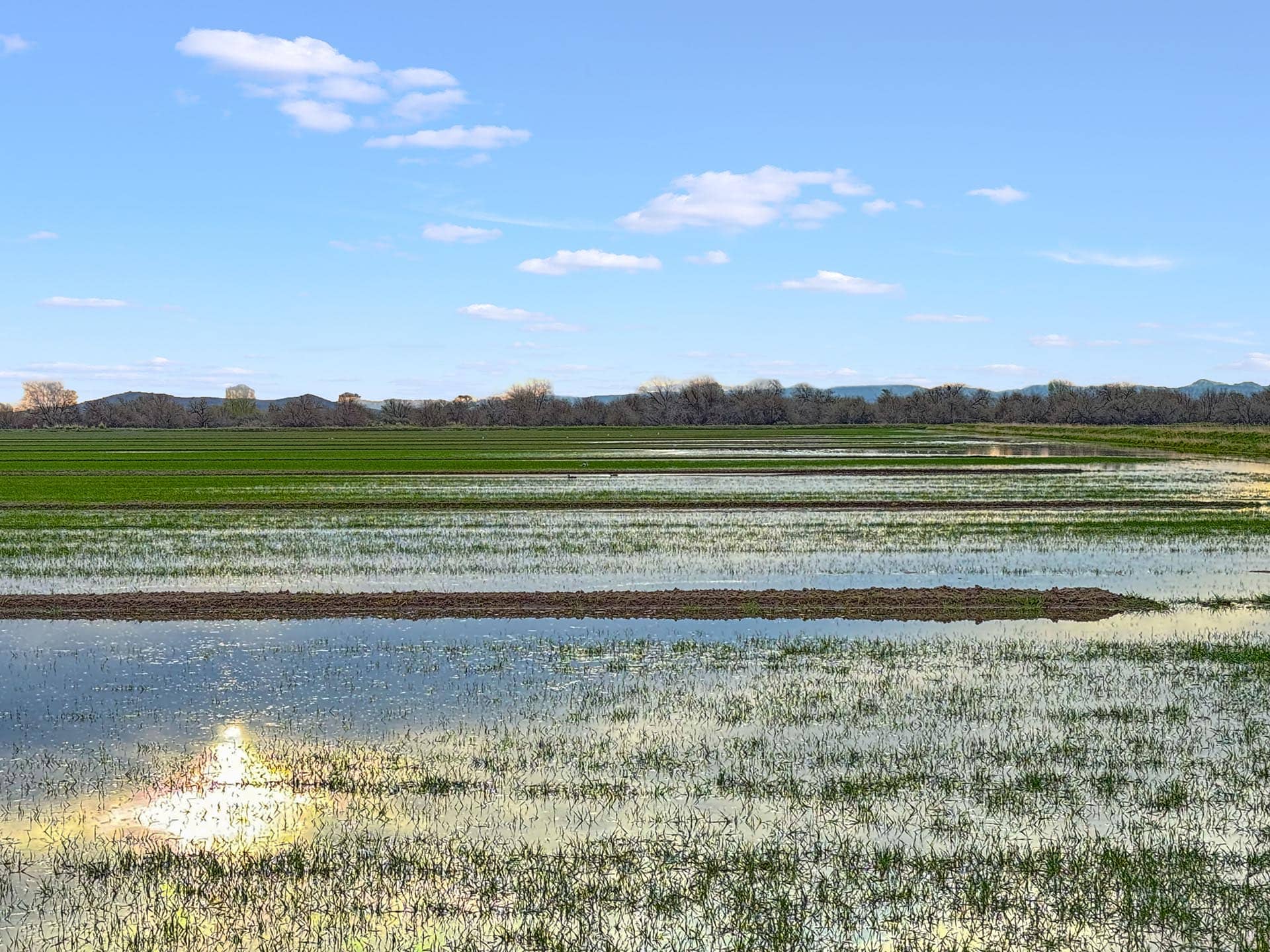 irrigated farm land idaho oxbow crescent