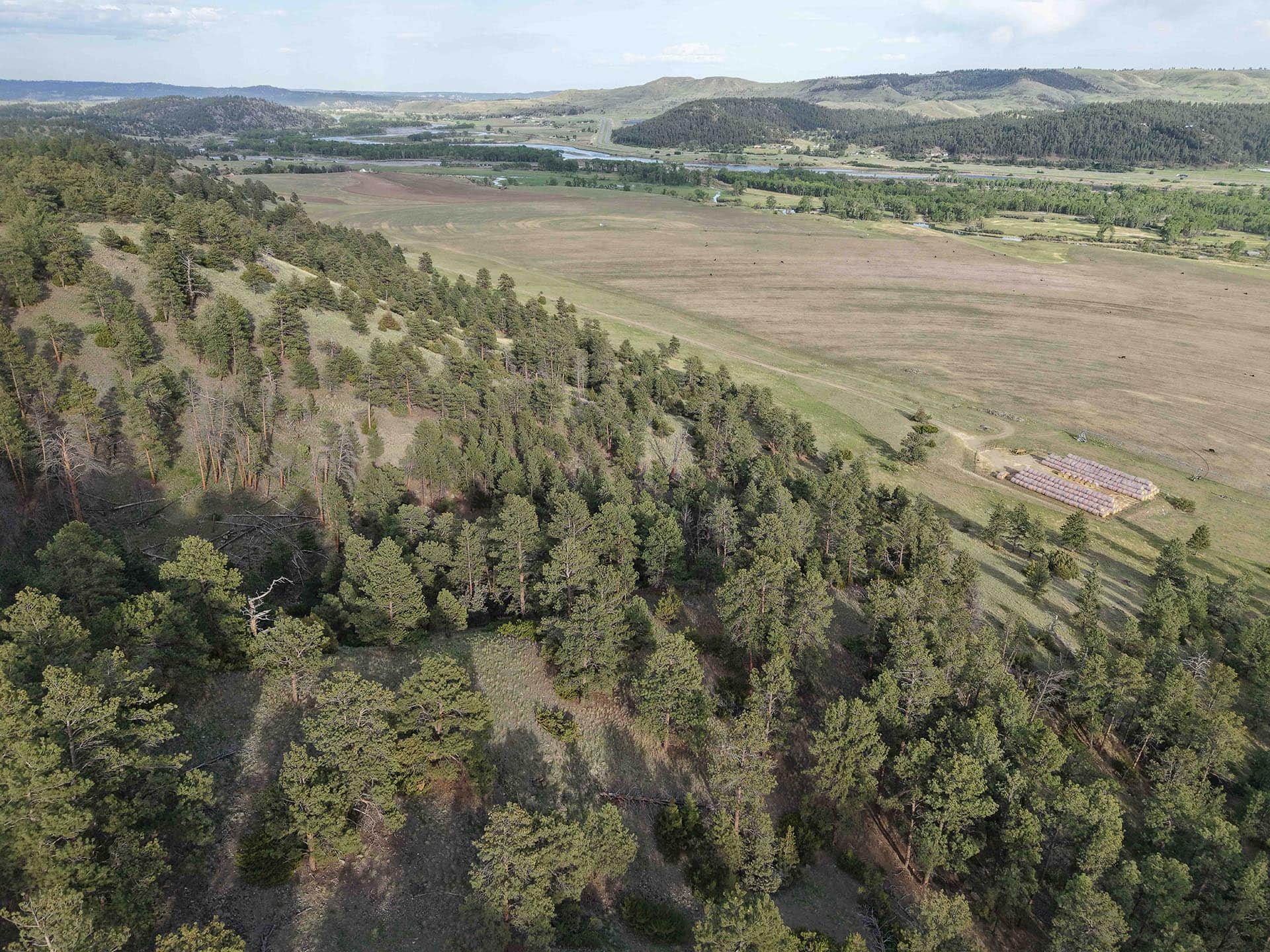 irrigated farm land montana springtime ranch on the yellowstone river